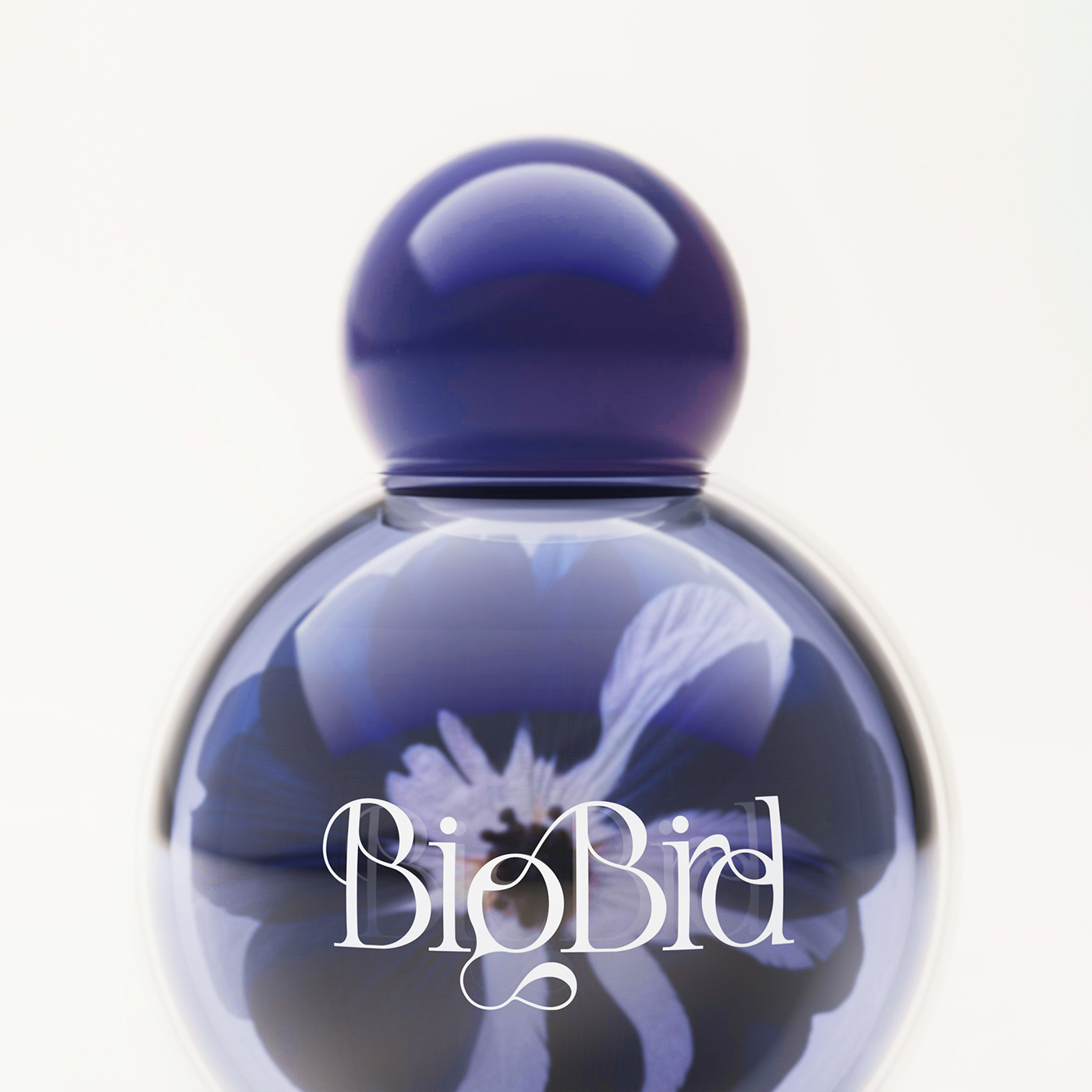 Packaging brand identity branding  ai Flowers parfume lettering graphic design  3D Fashion 
