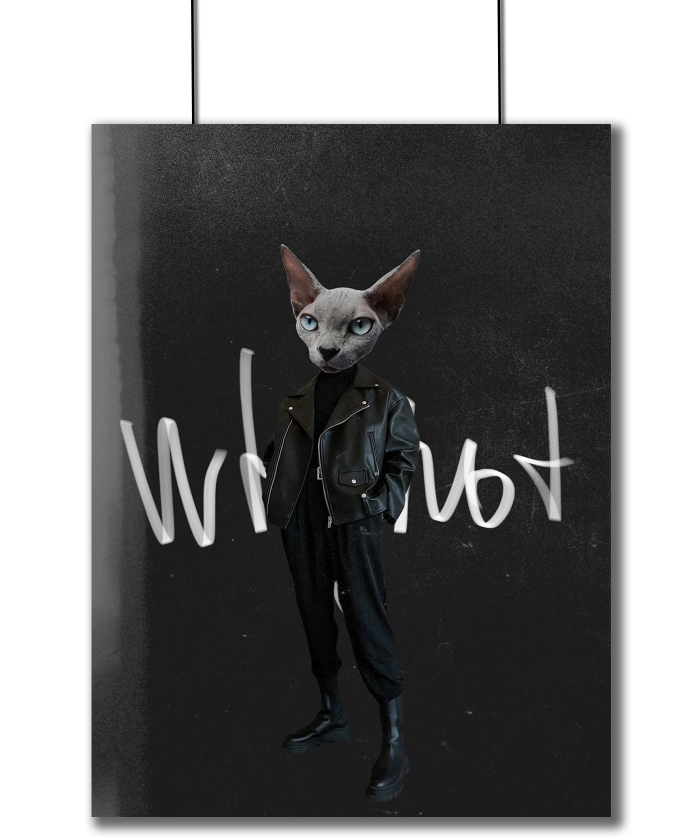 Cat Character design  collage collage art design Digital Art  Fashion  nft nftart nftproject