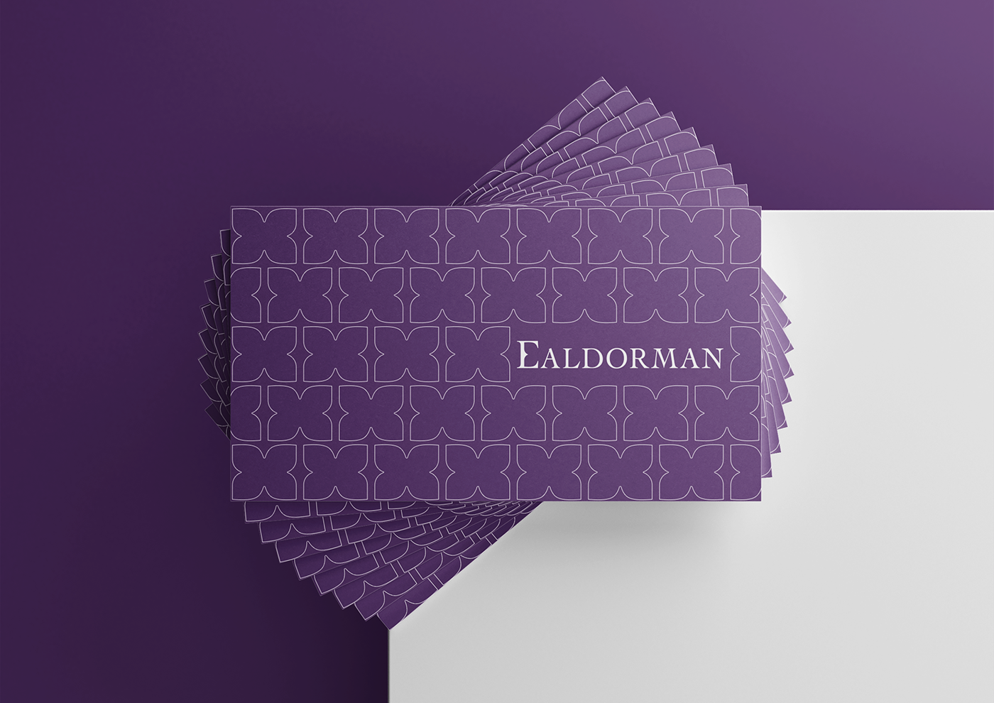 logo branding  ealdorman brand brand identity dima rykov identity Logo Design Packaging visual