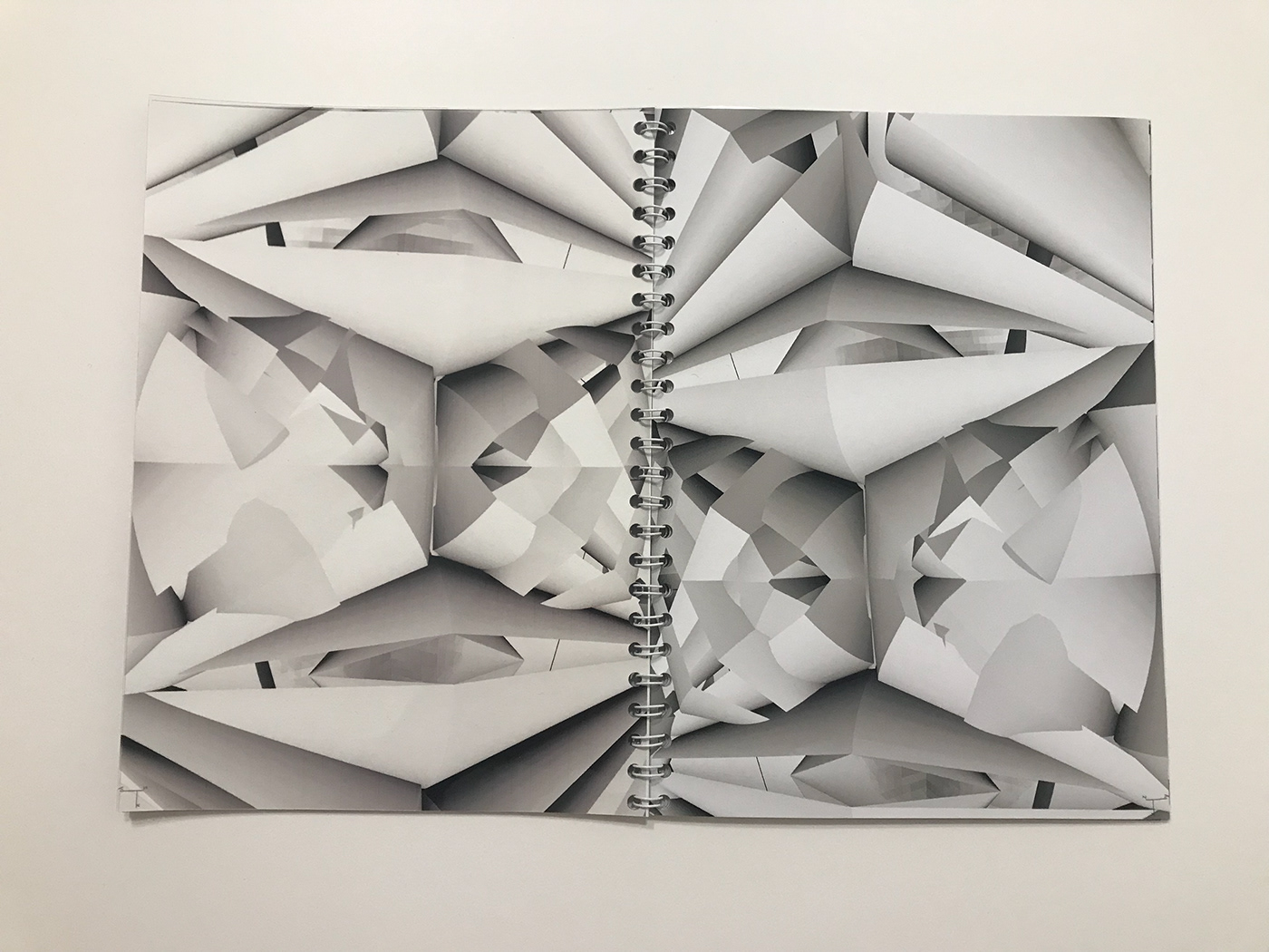 risd graphic design risd Rhino book design geometric design Landscape 3d simulation 3D design risd rhino designs 3d book