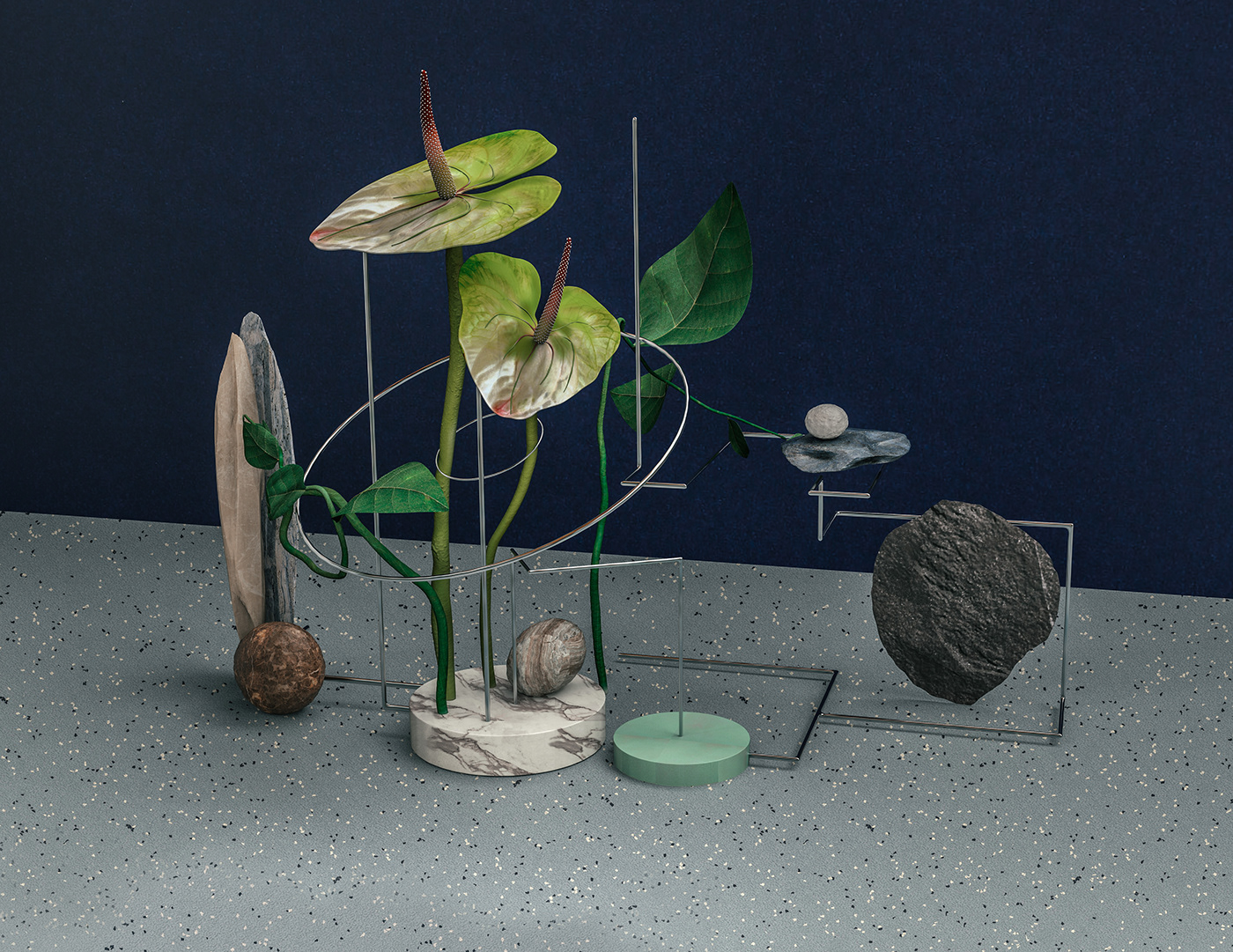 plants color botanical light geometry textures art flower 3D contemporary
