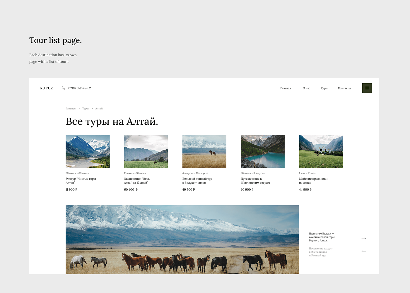 agency minimal mobile Nature Photography  tour Travel trip UI Website