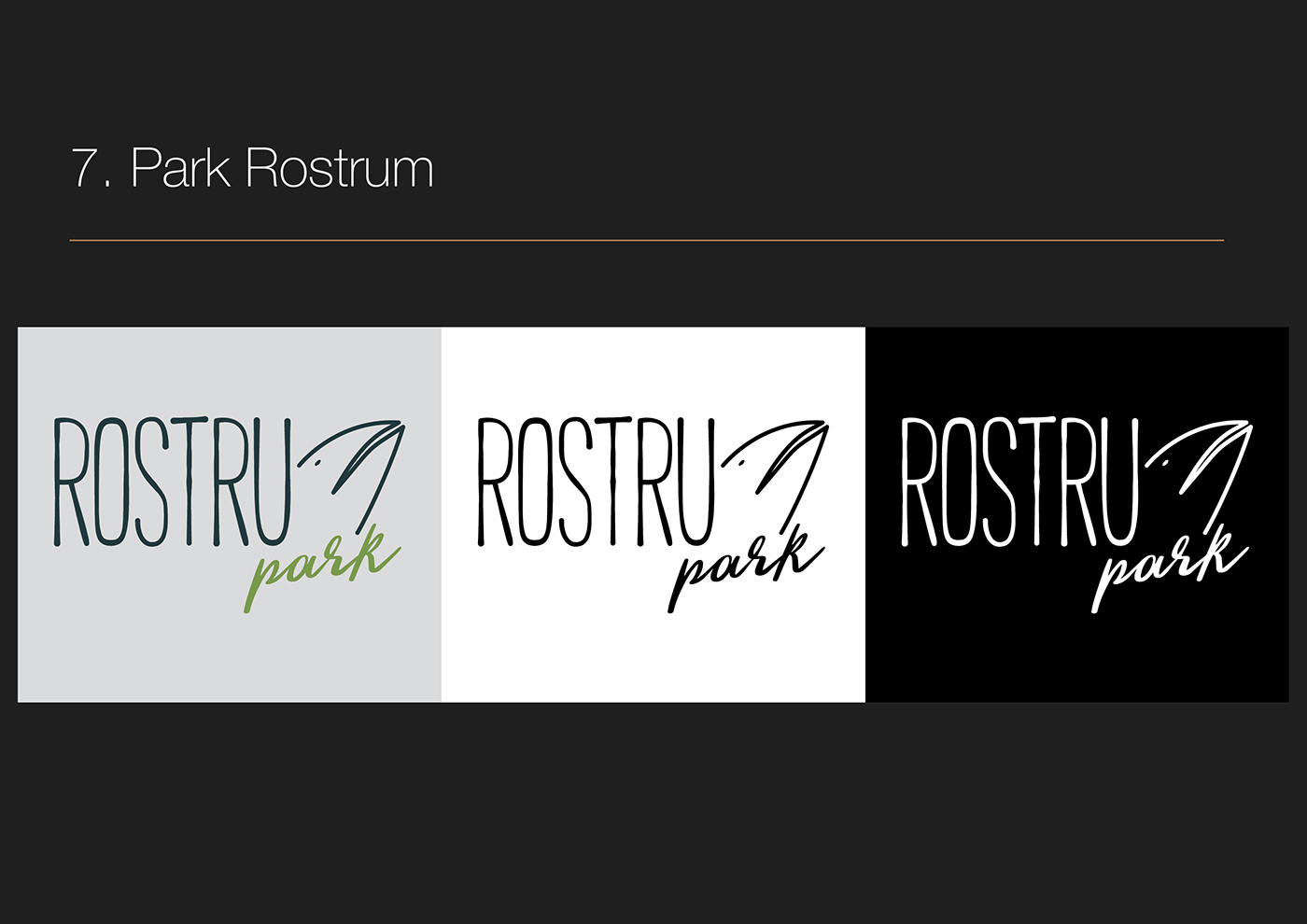 logo brand branding  logos Calligraphy   Logotype typography   lettering