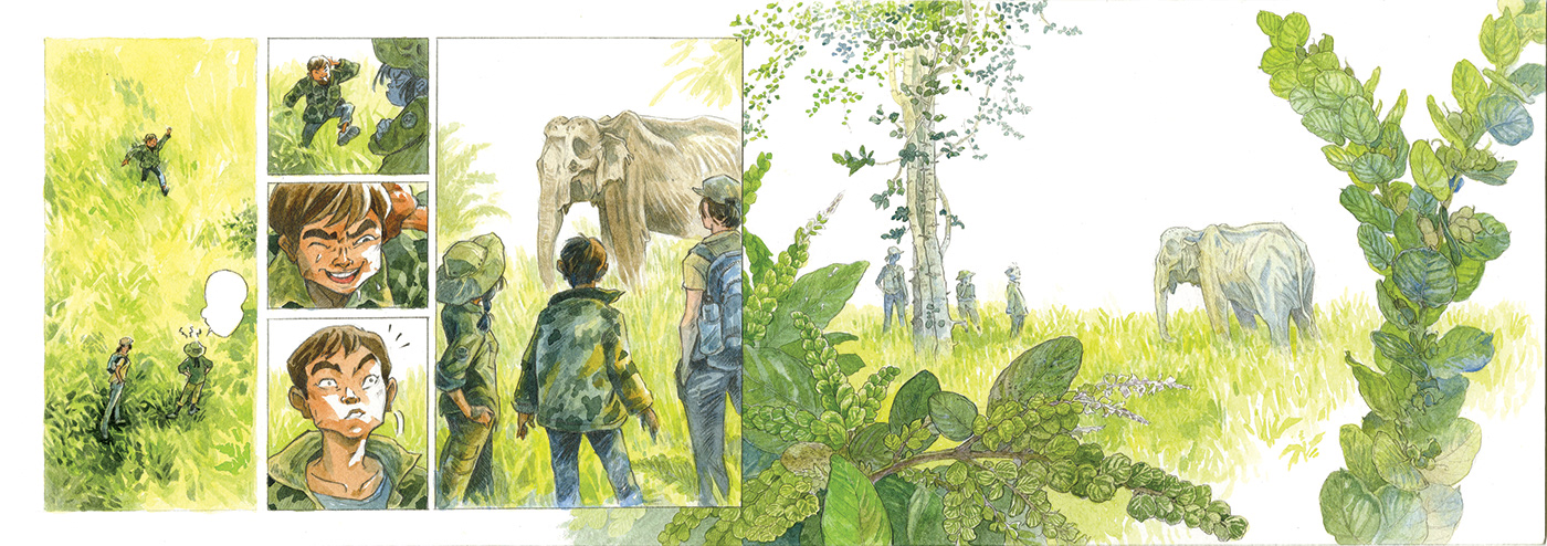 Graphic Novel comic ILLUSTRATION  Drawing  sketch wildlife children Picture book elephant animals
