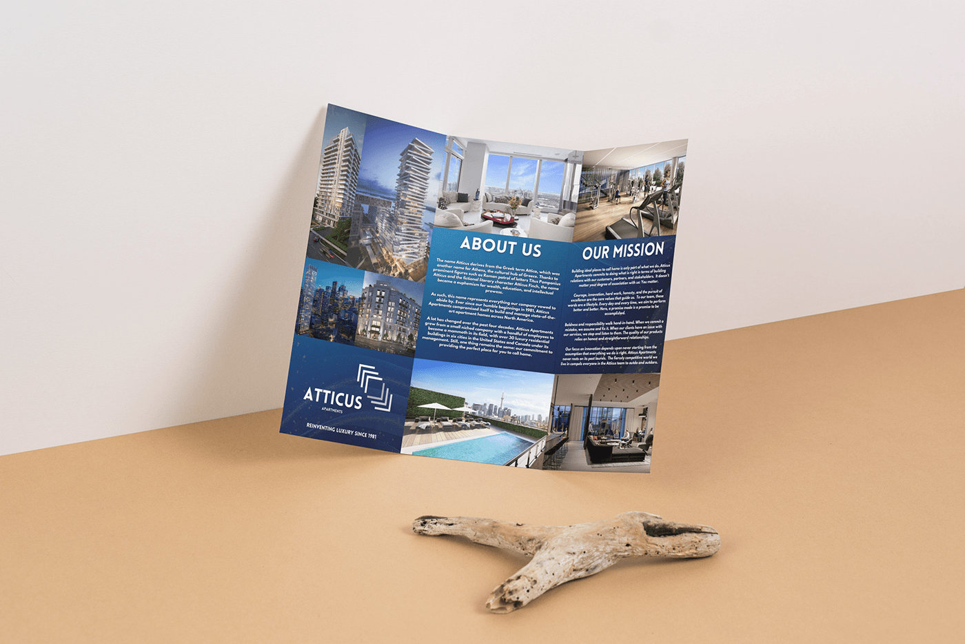 brochure brochure design Brochure Template brochuredesign brochures flyers marketing   real estate real estate flyer rental