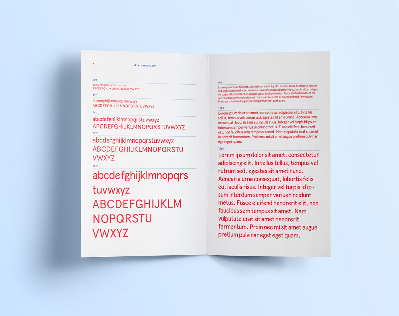 typeface design Type Speciemen Booklet