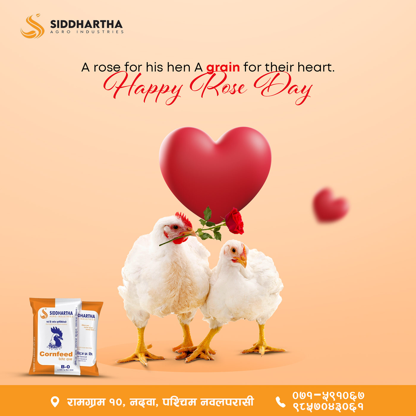 chicken feed social media ad Advertising  siddhartha agro