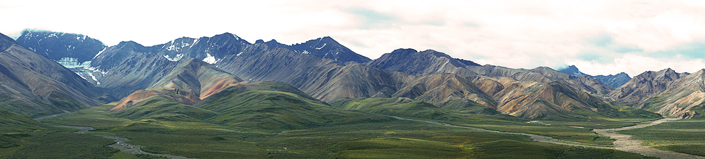 Alaska denali sva Photography  tundra Nature glacier