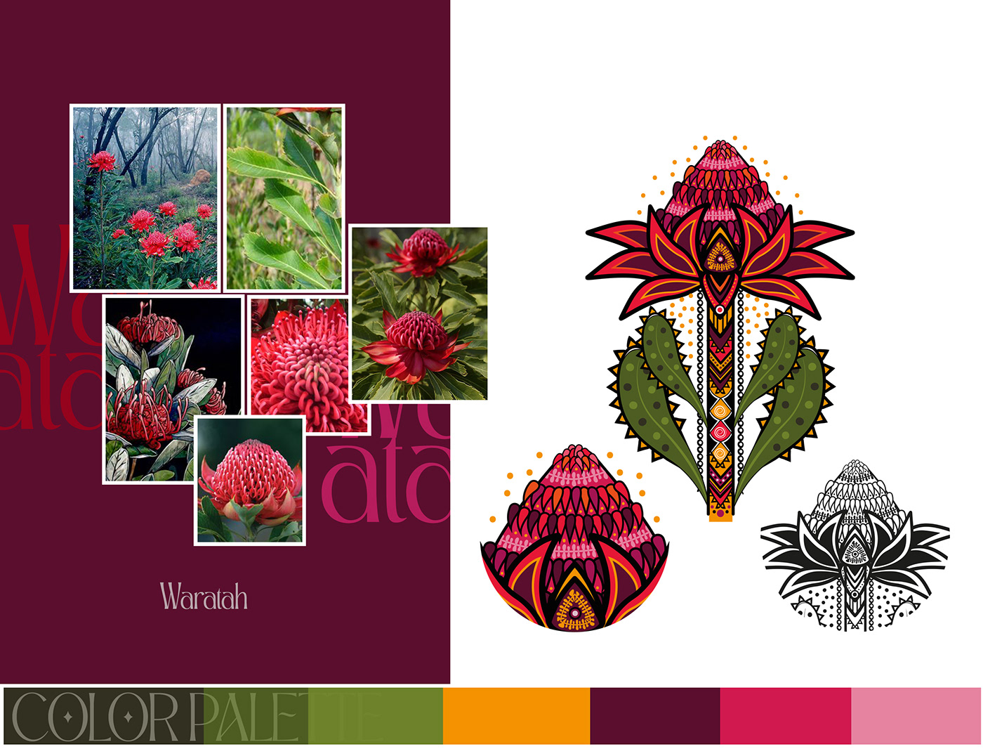 plants illustration artwork adobe illustrator vector ILLUSTRATION  plants fastival Australia Melbourne