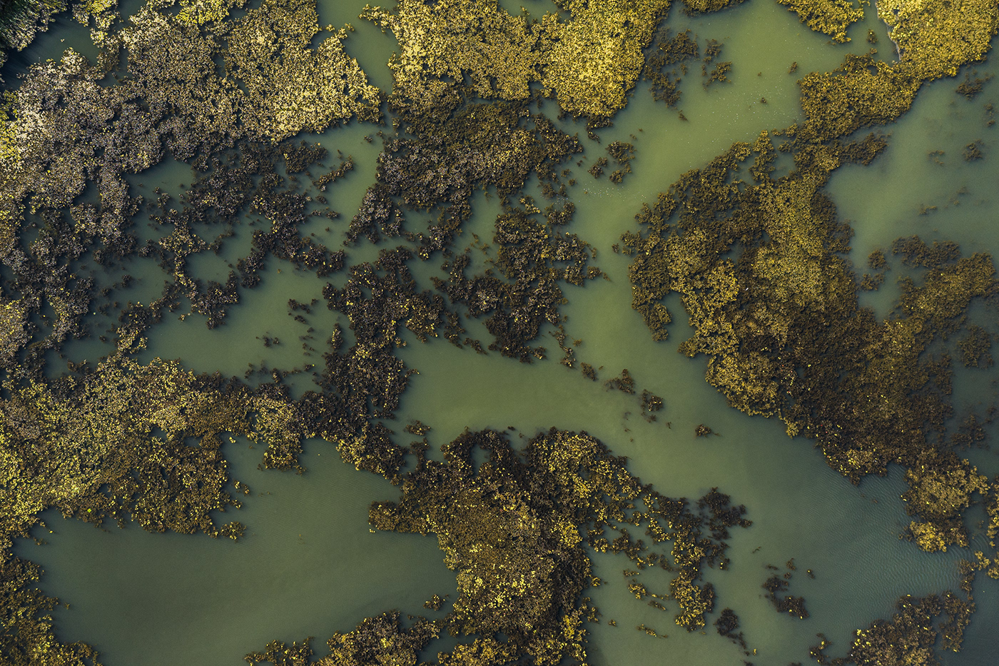 Aerial DJI drone hungary lake Landscape mavic Nature tisza water