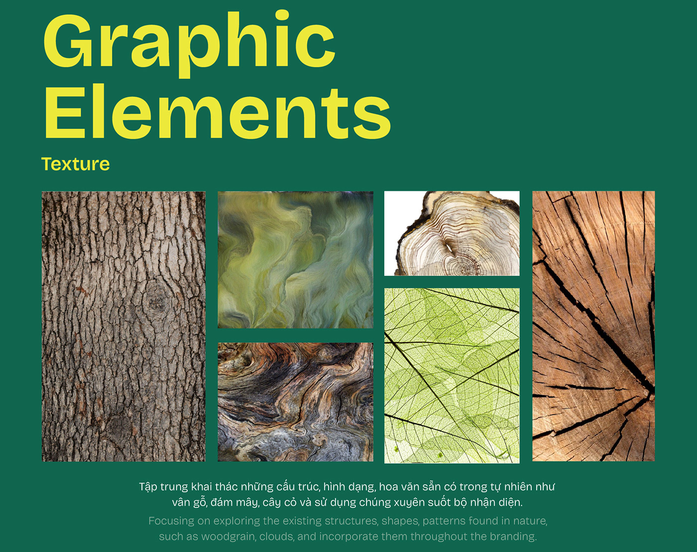 green Nature Logo Design visual identity Brand Design Advertising  poster brand identity