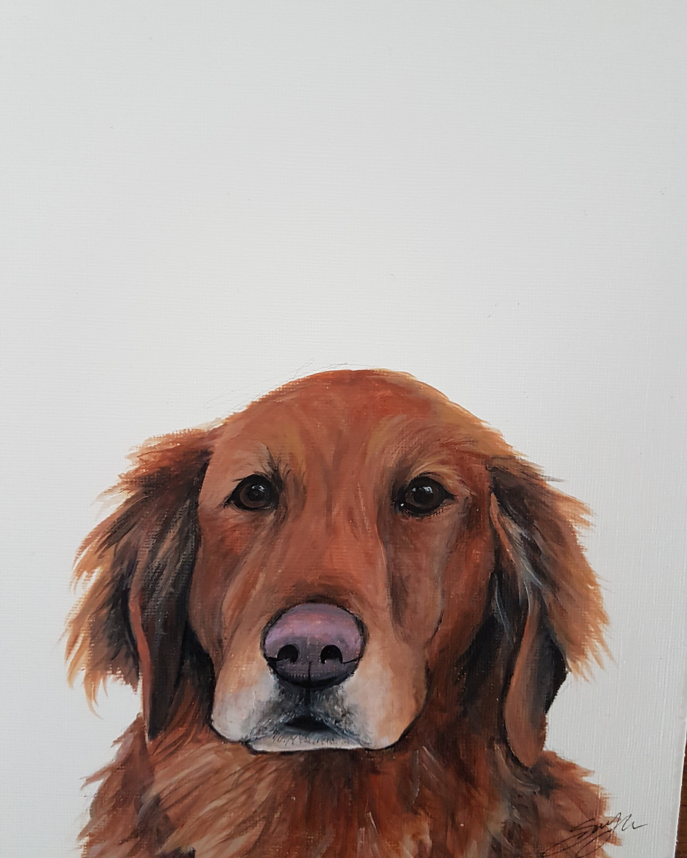 dog Pet portrait Pet Portrait acrylic custom made