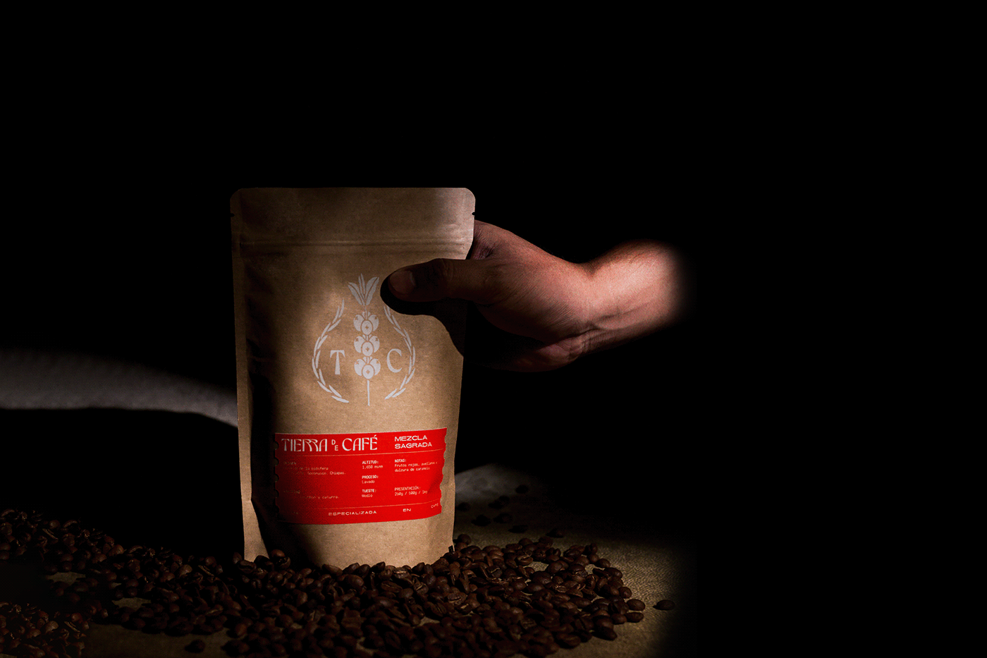 brand identity branding  cafe Coffee graphic design  identity logo mexico Packaging specialty coffee