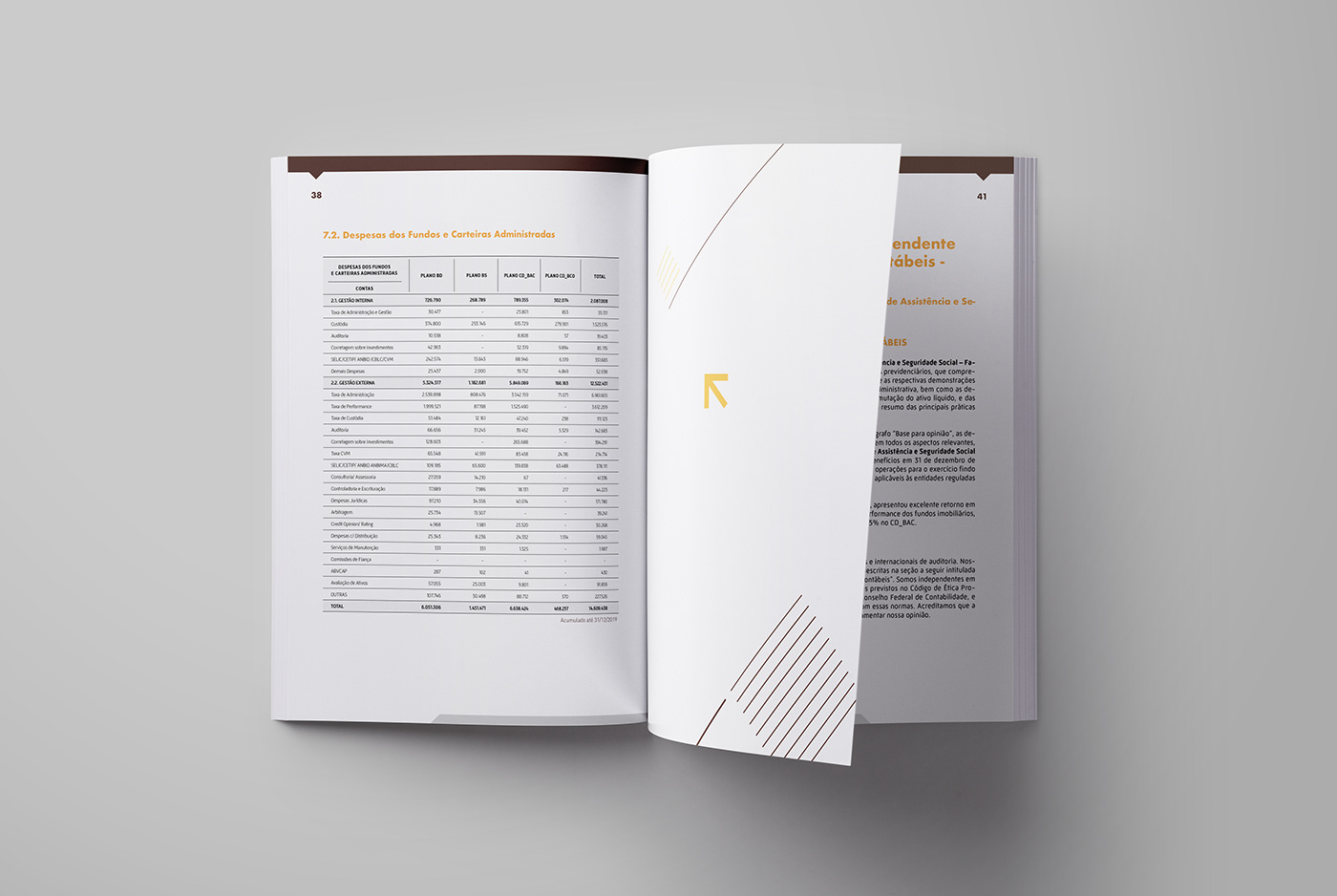 data visualization design editorial design  Layout business Relatório Relatório Anual report
