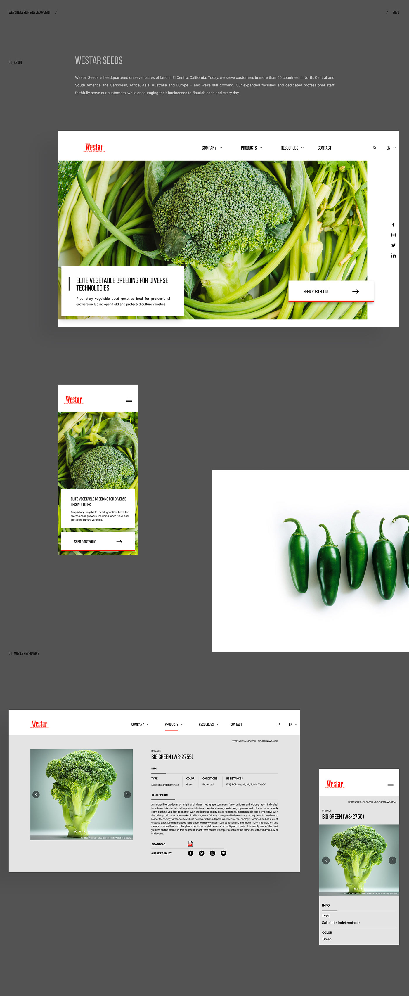 elegant interaction Interface interface design Minimalism modern UI/UX Website Website Design website designer