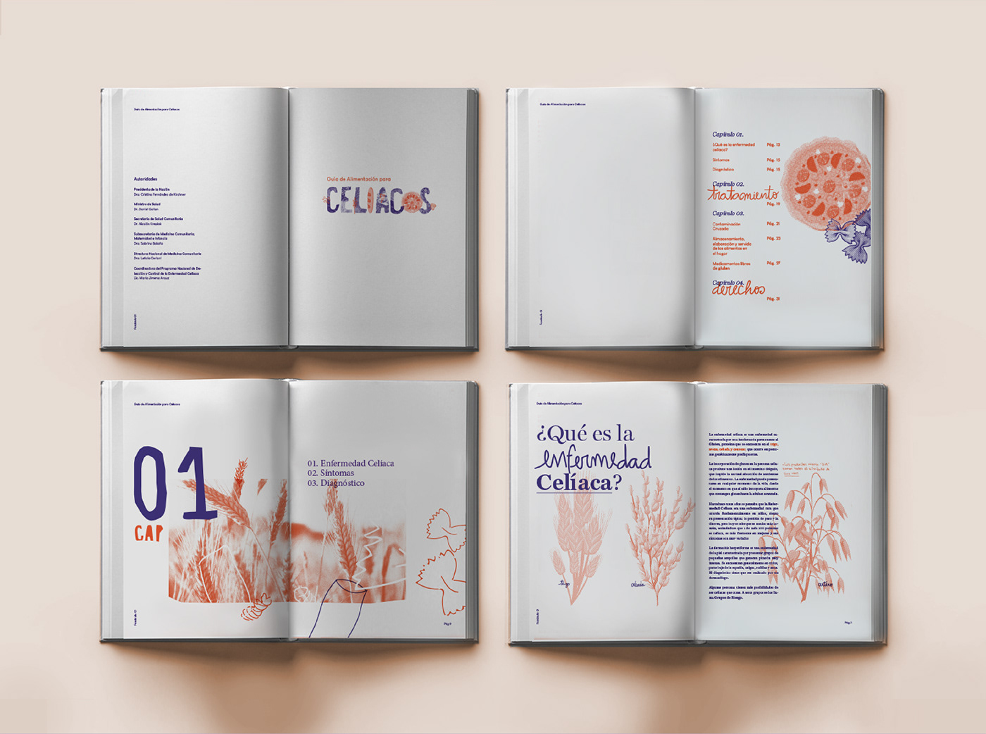 fadu rico editorial tipografia sistema diseño grafico libros book libro
