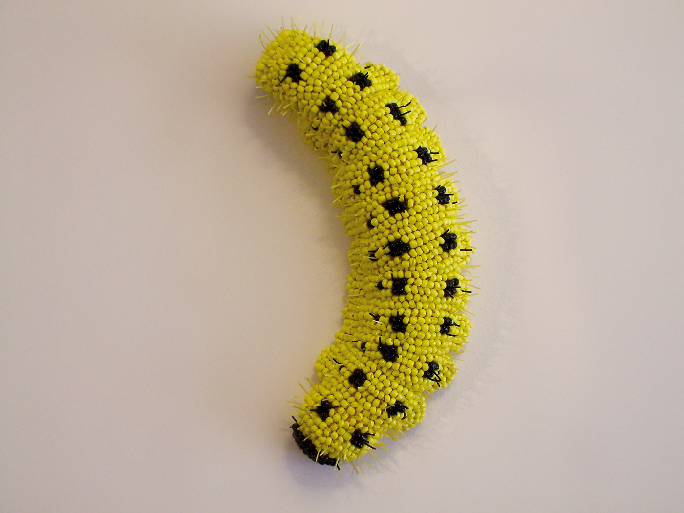 moth Caterpillar beads