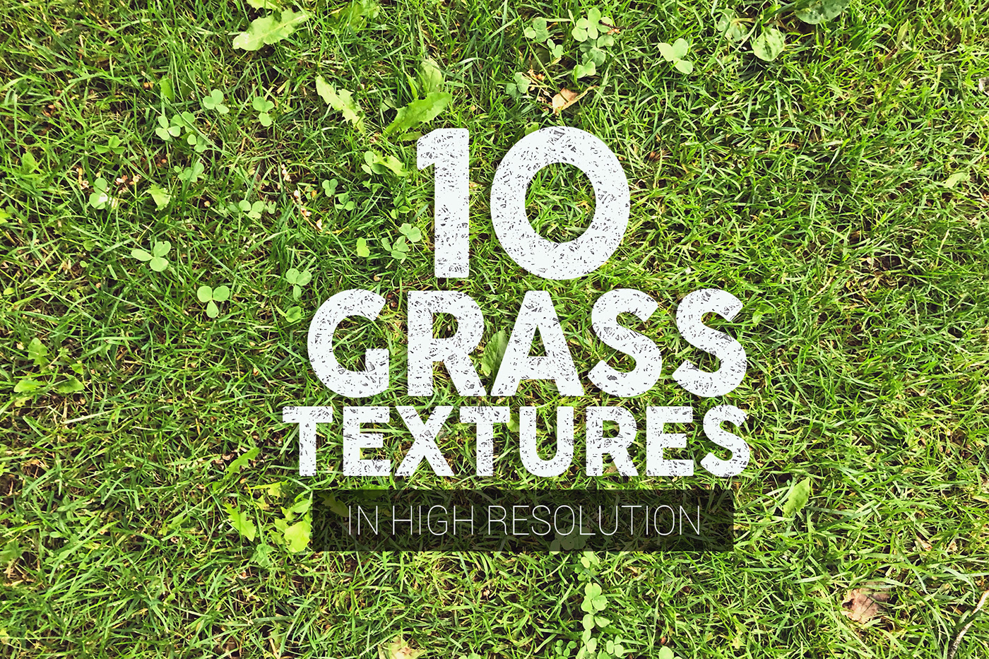 grass texture background Nature FLOOR scene top photo Pack bundle