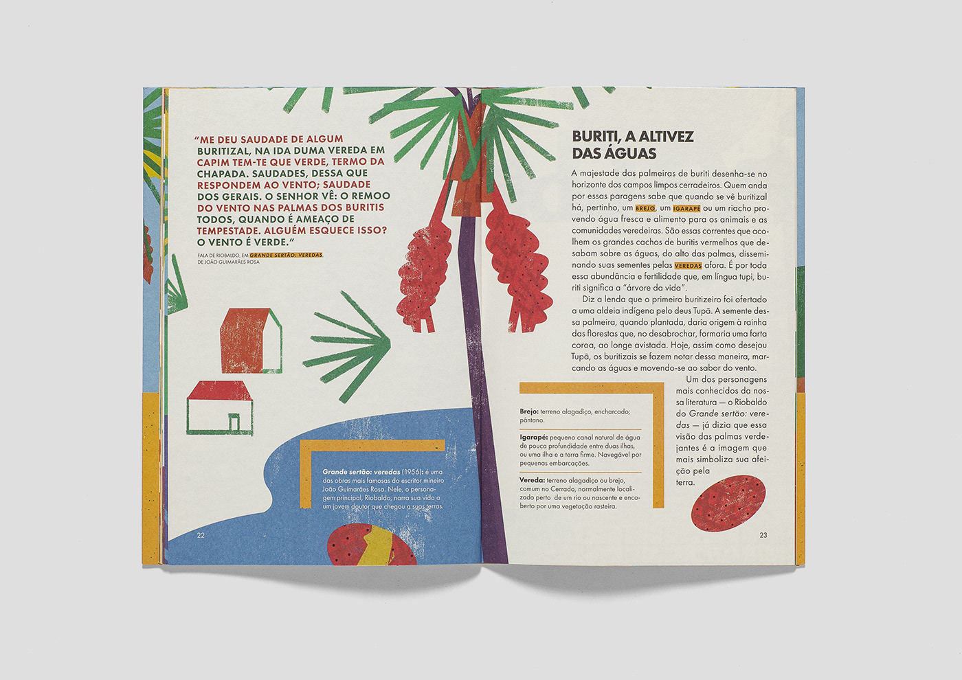 book book design child design editorial editorial design  educational books environment Illustrated book teaching aids
