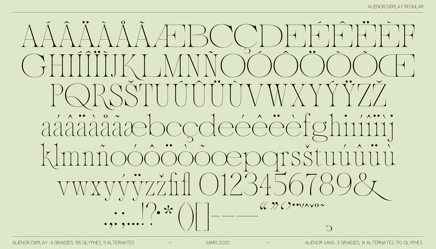 font fonts glyphs graphic design  serif type type design typedesign Typeface typography  