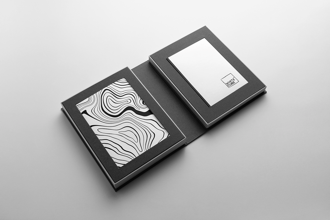 book brand identity branding  cube fantasy ILLUSTRATION  milkink minimal Reading Website