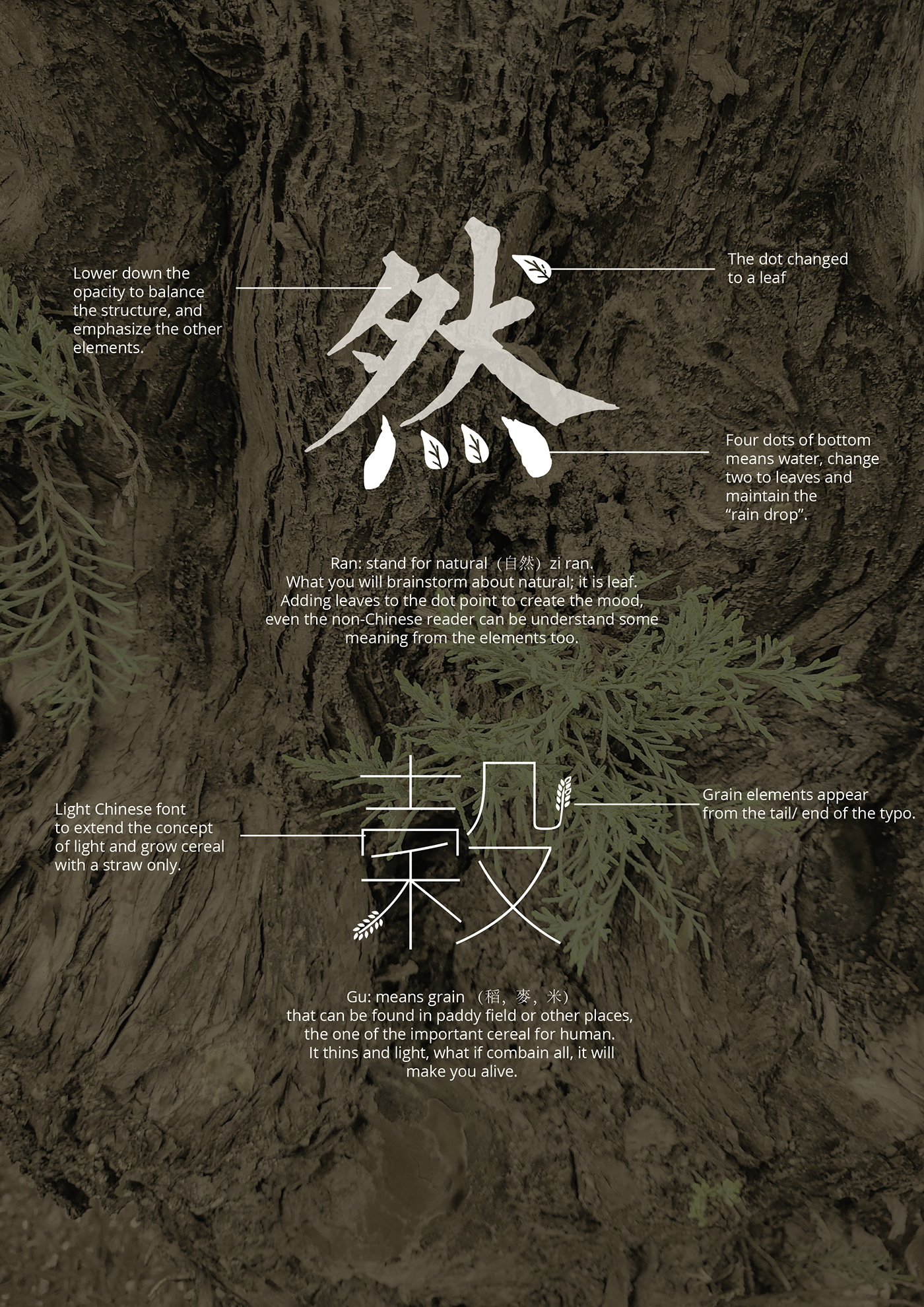 arrange chinese design expressive font graphic Layout mandarin Photography  typography  