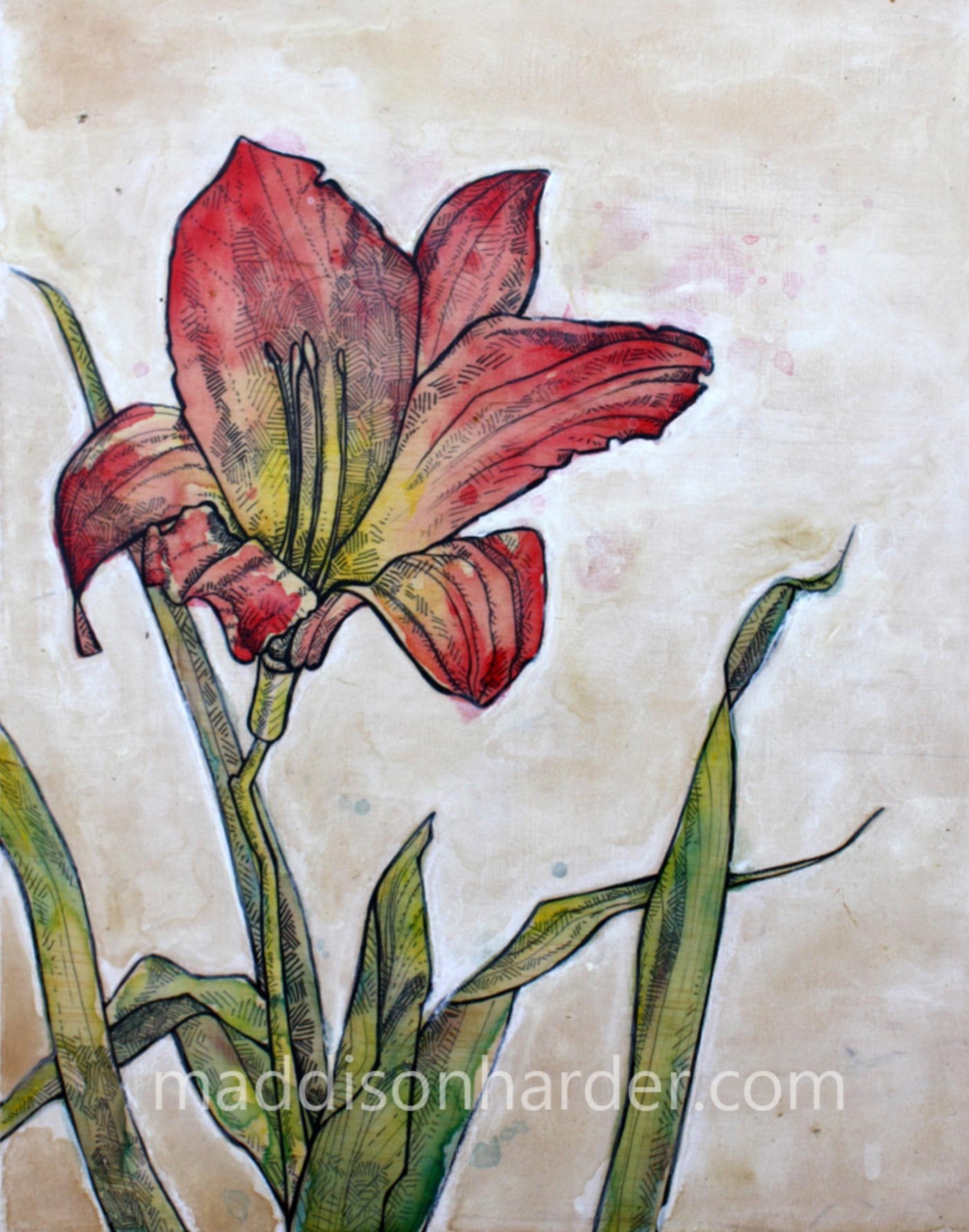 Drawing  painting   mixed media Flowers art paint hand drawn