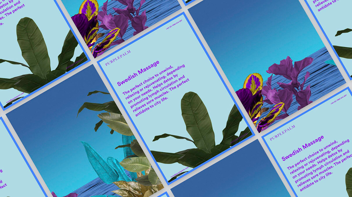 branding  massage vibrant Colourful  energie blue purple plants palms sea