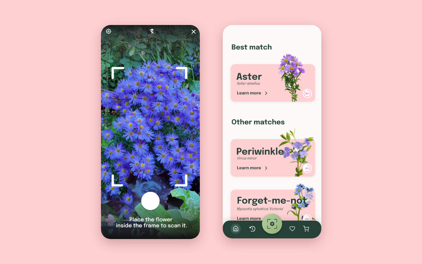 app bloom finder flower Mobile app peony recognition ui design UI/UX user interface
