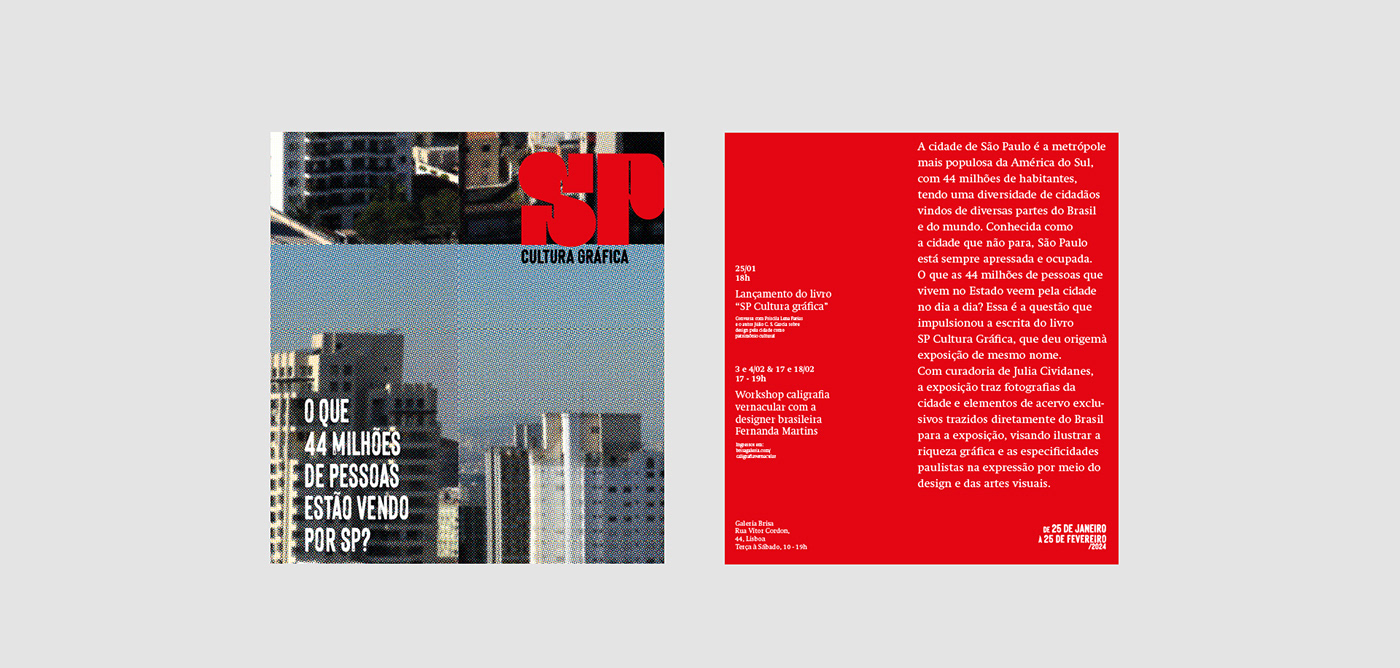 design editorial editorial design  graphic design  Livro book
