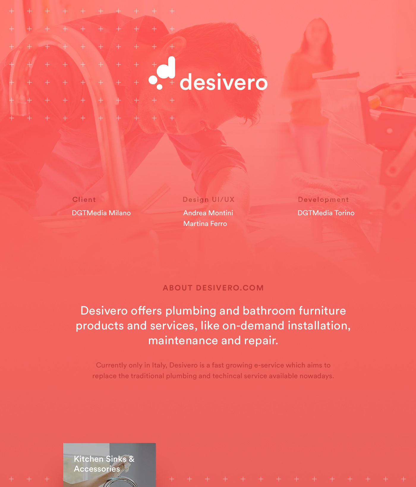 desidero Ecommerce Web Design  eCommerce design red vibrant design blue and red bathroom services products