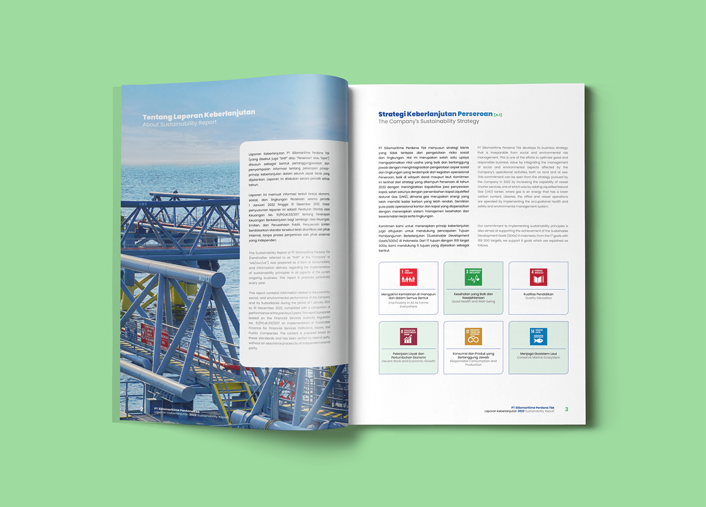 annual report sustainability report book design book cover Book Layout books print Layout