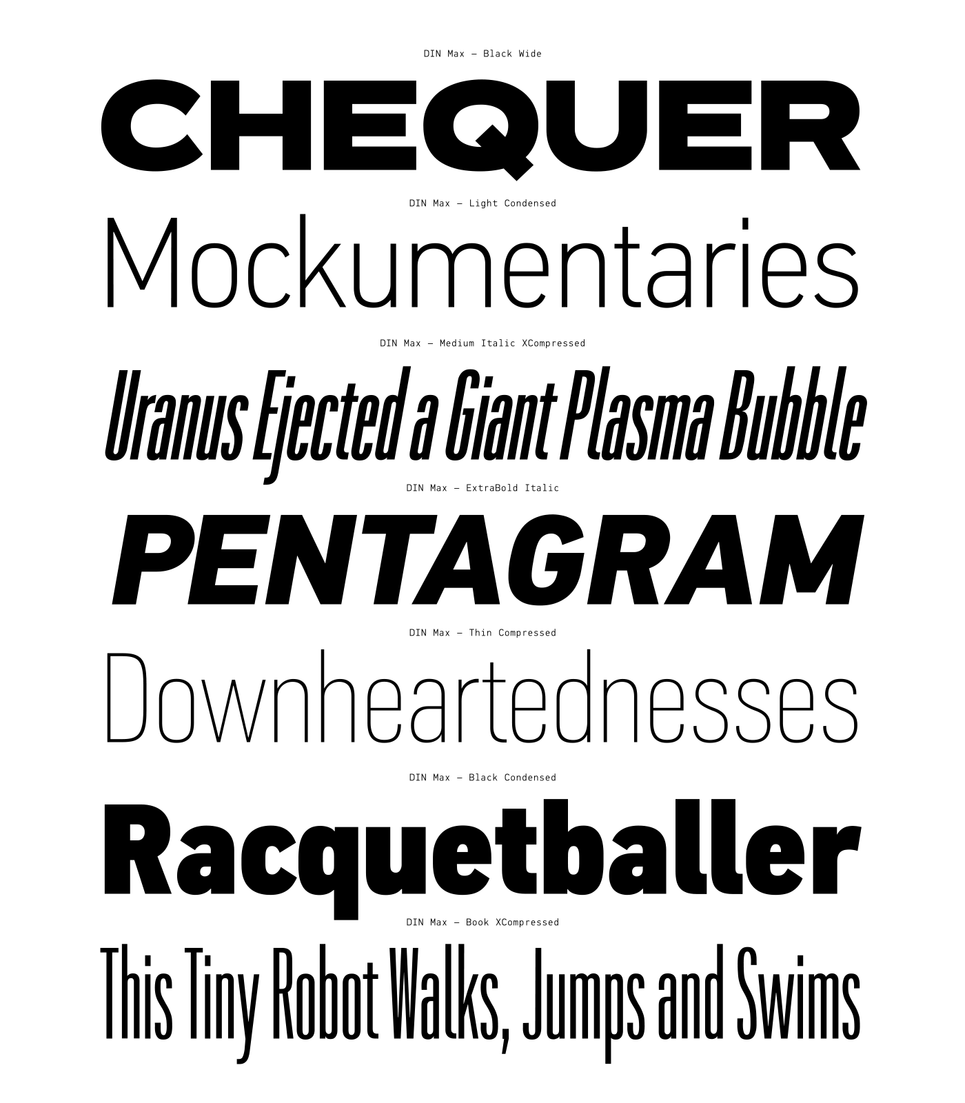 corporate font grotesque magazine Packaging sans Typeface variable versatile