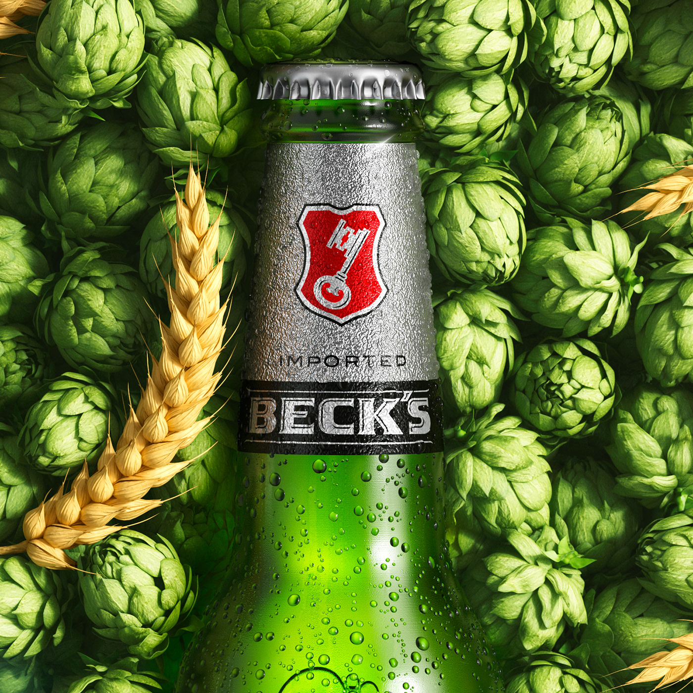 Becks beer bottle 3D Advertising  art CGI design ILLUSTRATION  Render