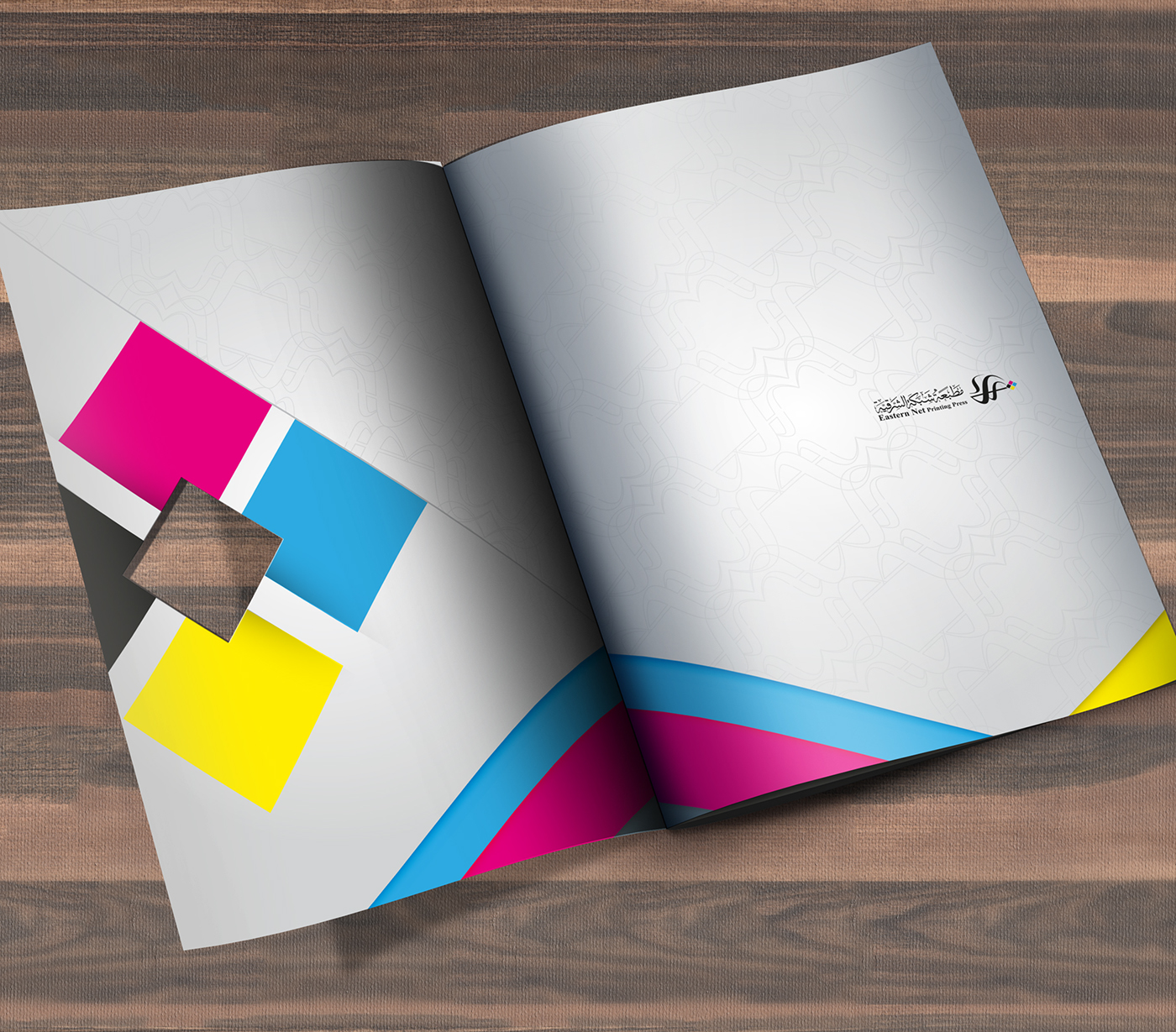 brochure Advertising  idea design Printing