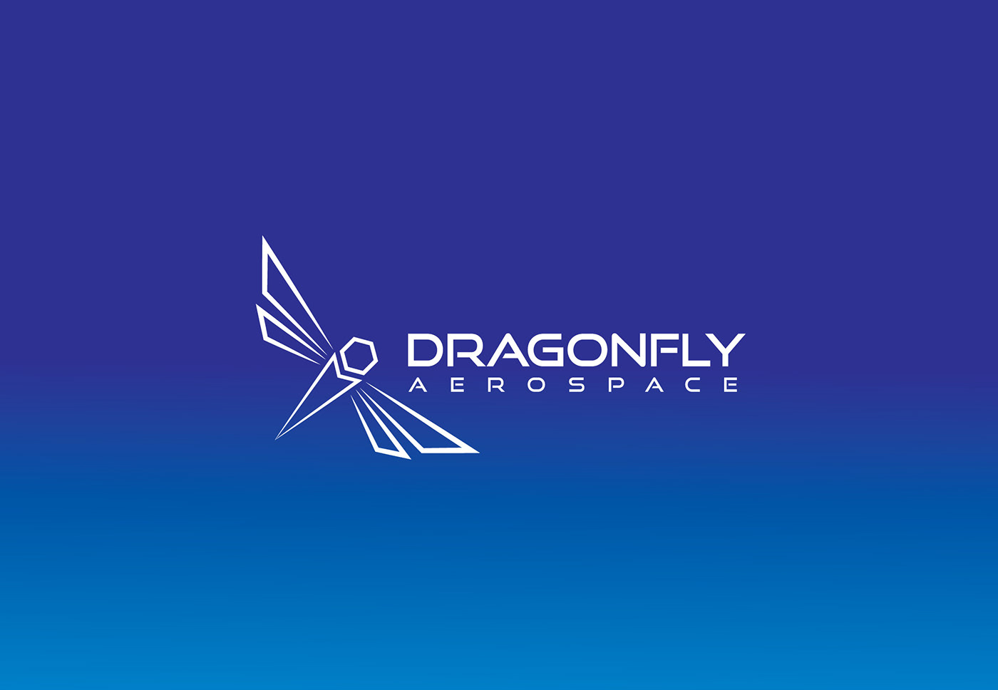 Aerospace dragonfly satellite Space 