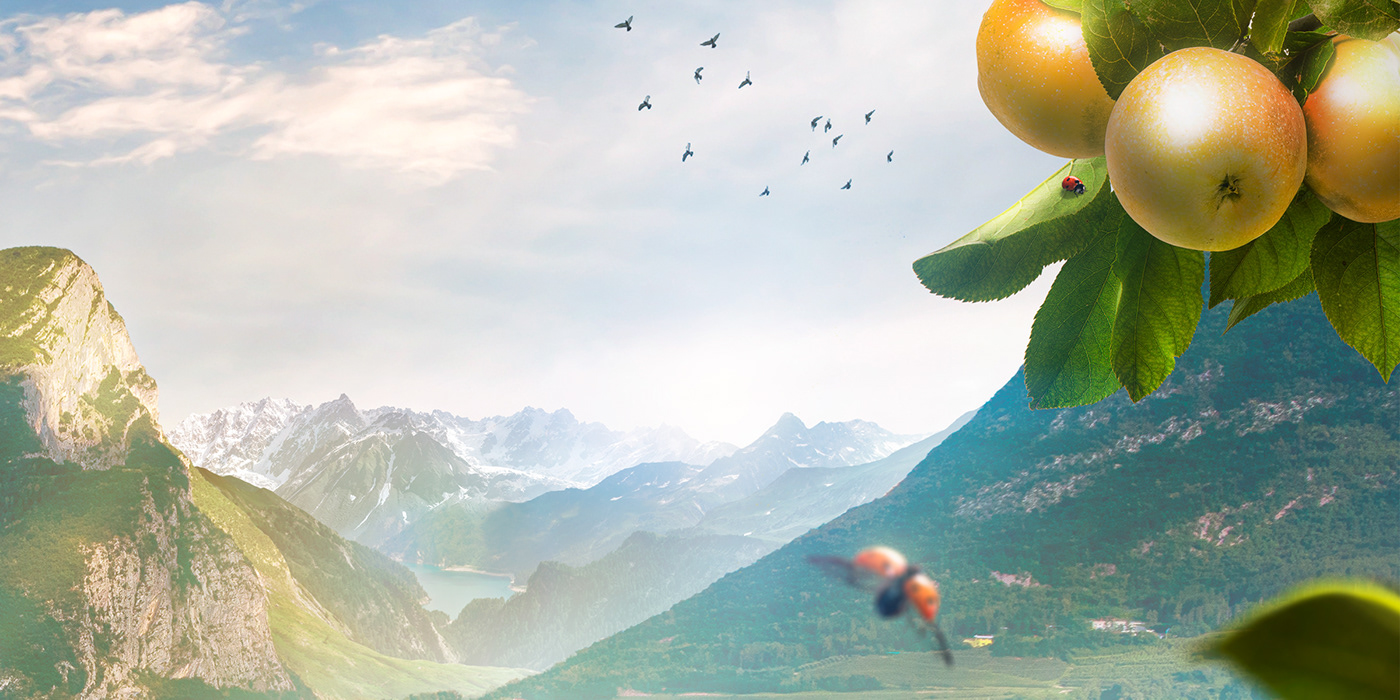 apple val venosta publicidad manzanas Landscape Beautiful valley Fruit advert ladybug