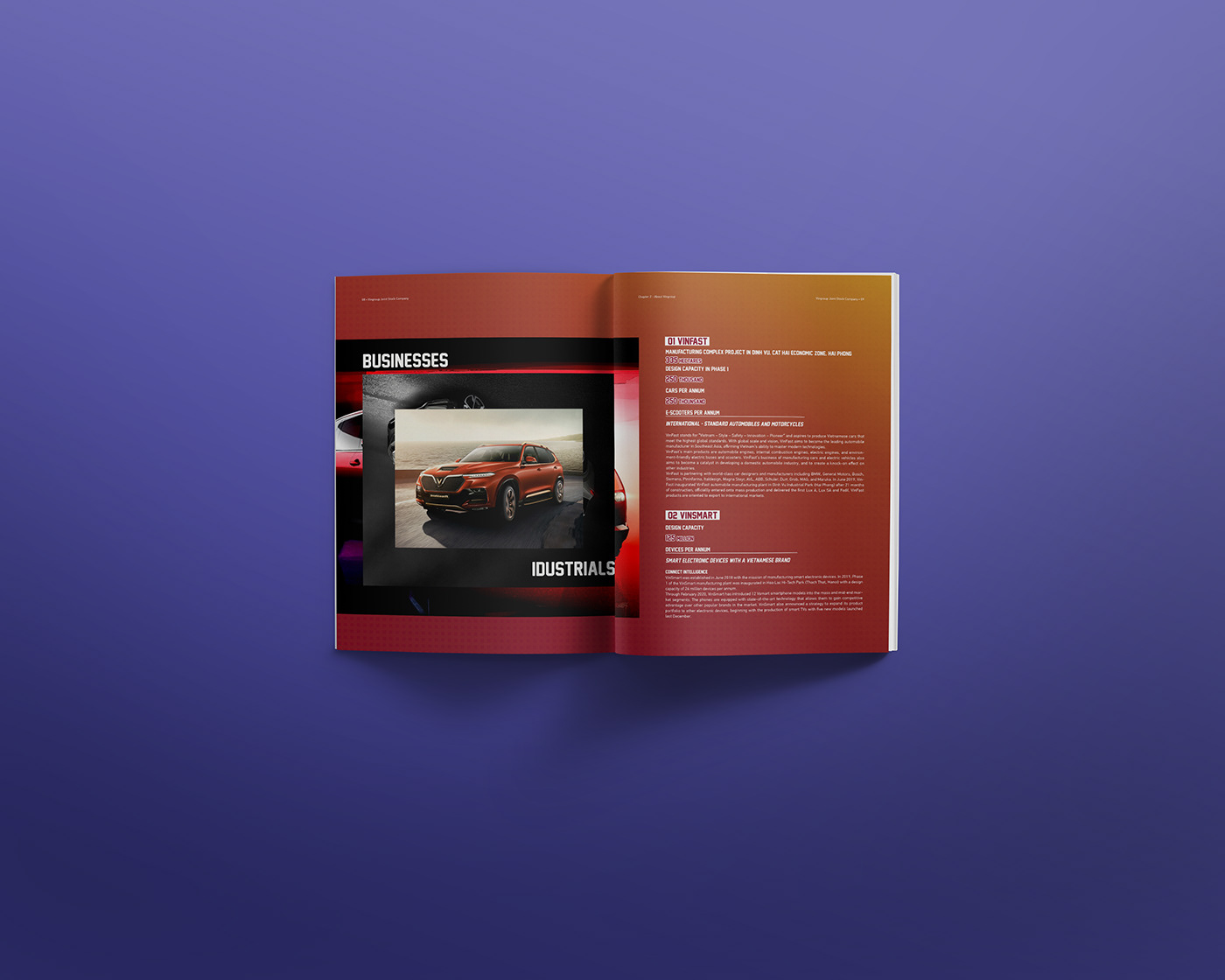 annual report Layout InDesign