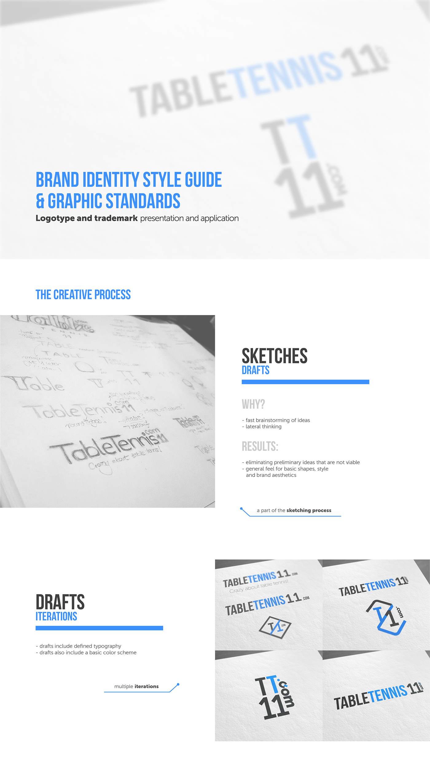 branding  Graphic Standards Style Guide guidelines Ecommerce Creative Direction  table tennis graphic design  logo visual identity