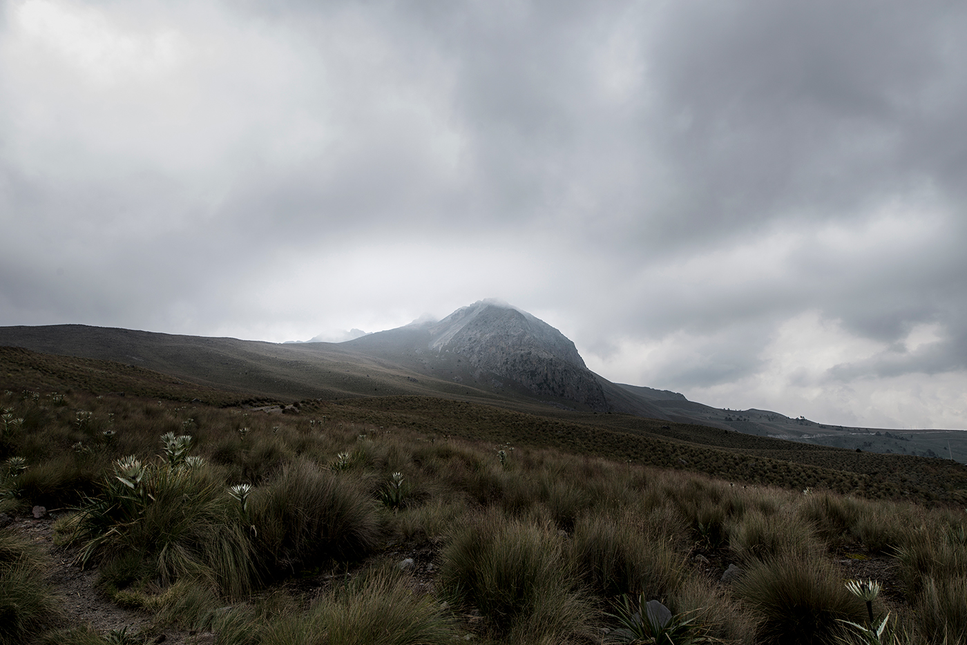 Landscape Nature paisaje nevado toluca mexico FOTOGRAFIADIGITAL 