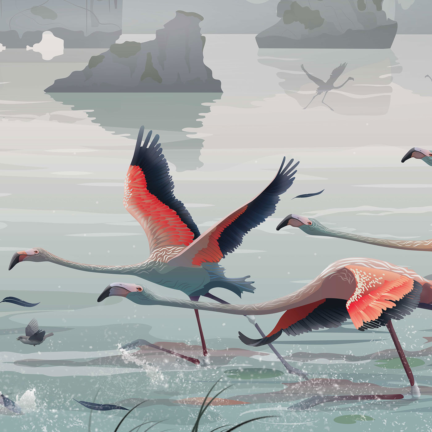 flamingo art ILLUSTRATION  Halong digital characters birds vector adobeillustrator sea