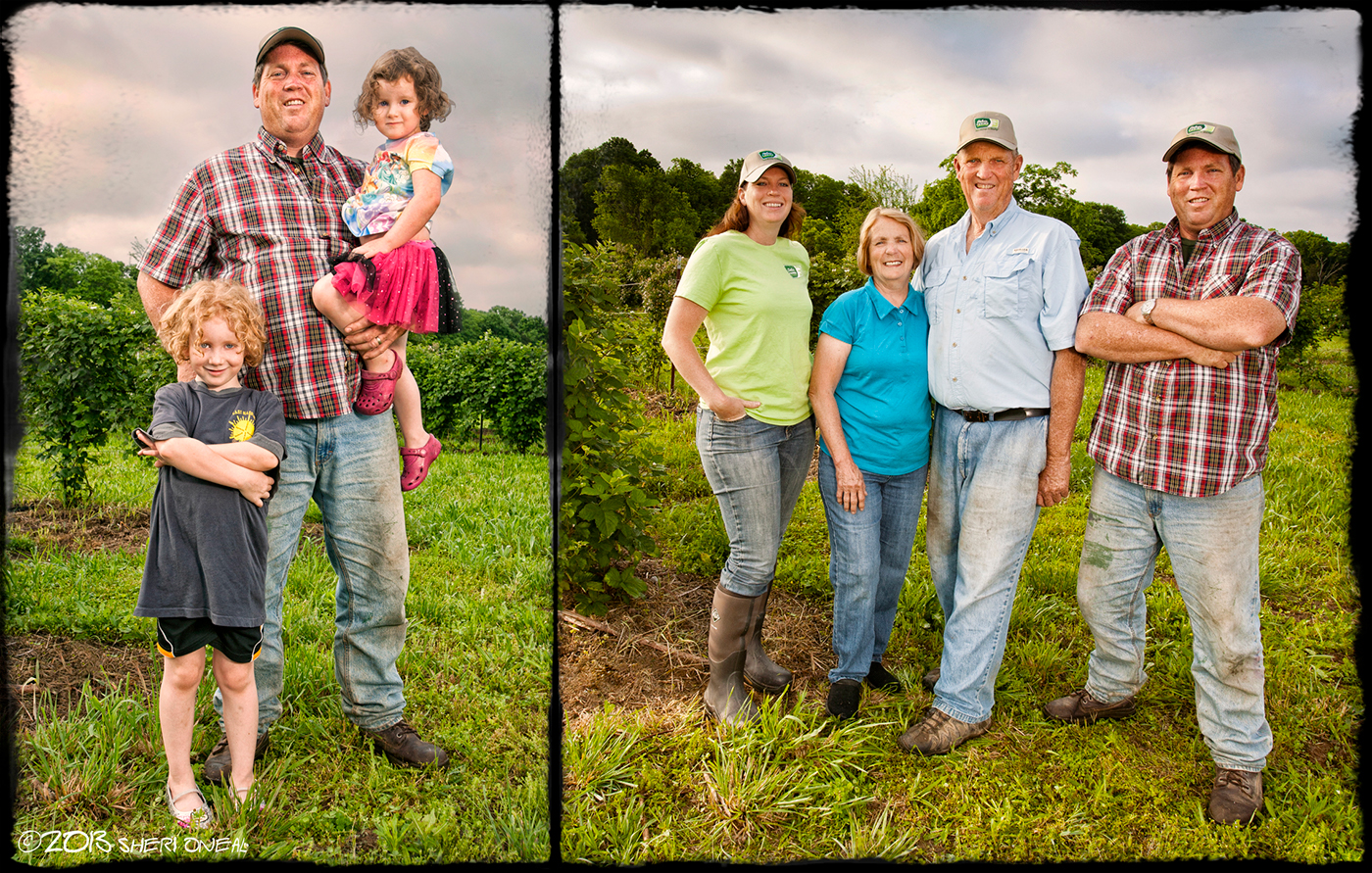 nashville commercial photographer Delvin Farms sheri oneal Tennessee Farm Organic Produce Kale strawberries farmers Hank Delvin Family Owned Farm