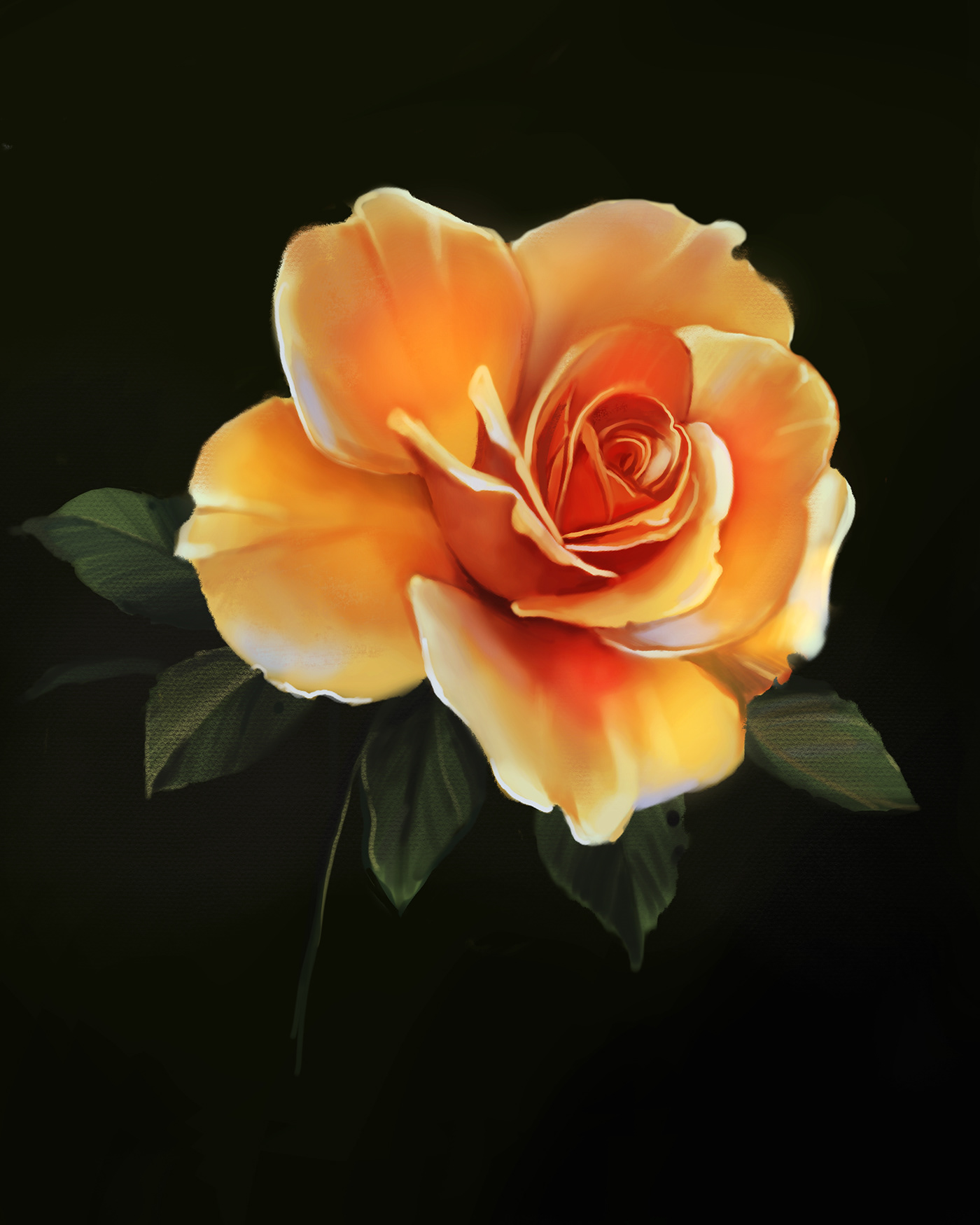 Procreate photoshop Drawing  paint painting   process art digital tutorial Roses Flowers color Digital Art  ILLUSTRATION  Flora
