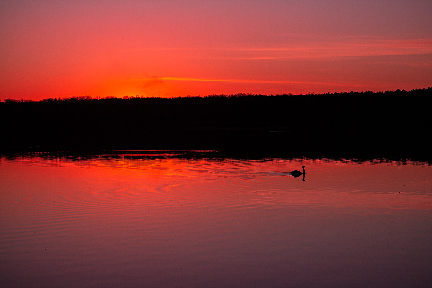 COVid lockdown pandemic quarentine lake Landscape Nature Photography  sunset landscape photography