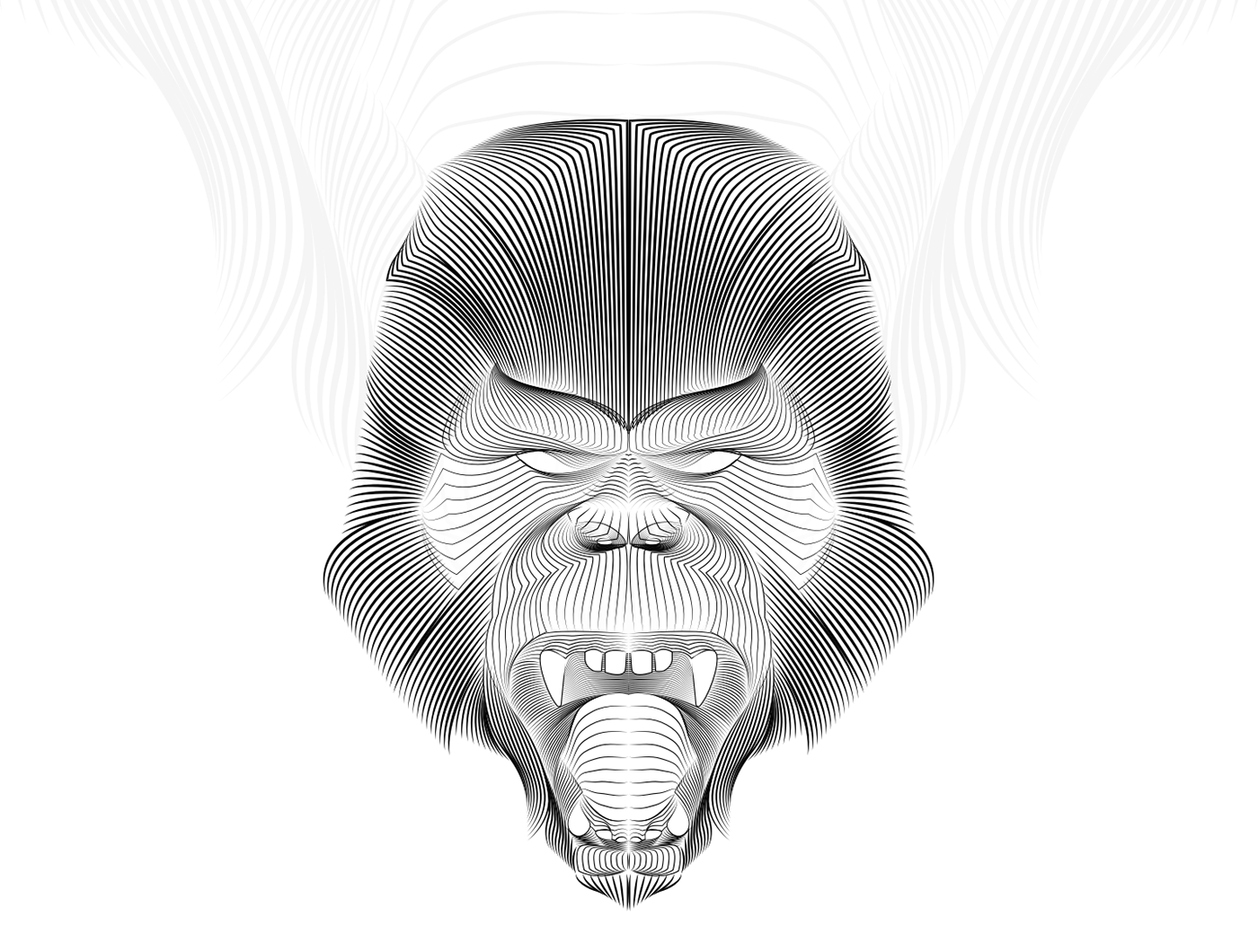 gorilla ILLUSTRATION  adobe Blendtool line Illustrator simplicity