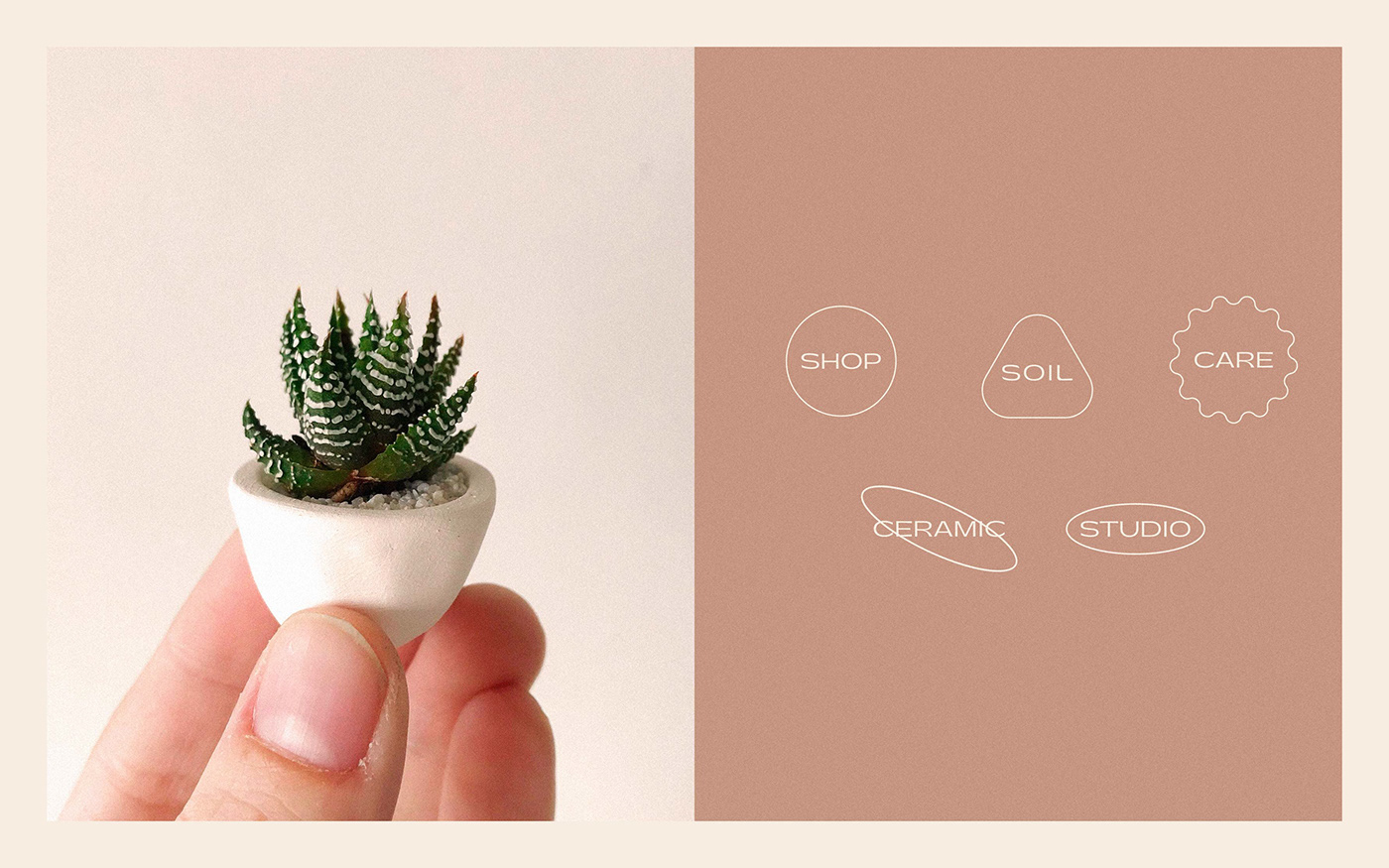 branding  cactus design identity mexico Packaging Pots soil stationary Succulent