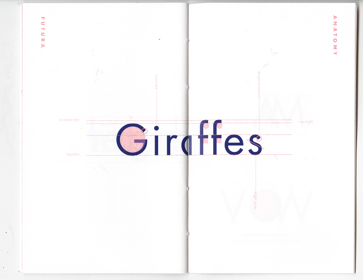 Booklet Futura type specimen book typography   futura specimen book font typeface anatomy adobeawards