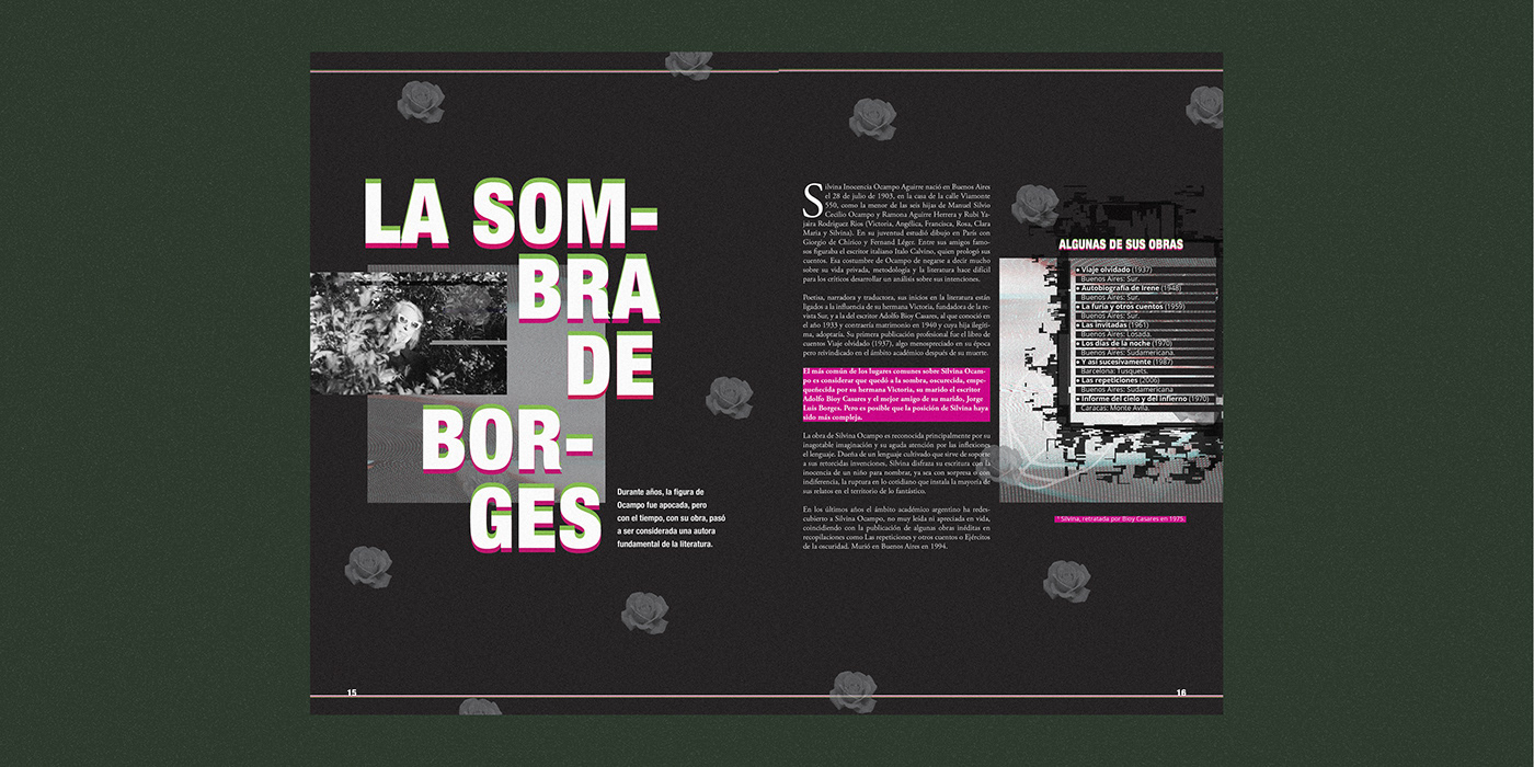editorial design ILLUSTRATION  magazine doble pagina revista collage