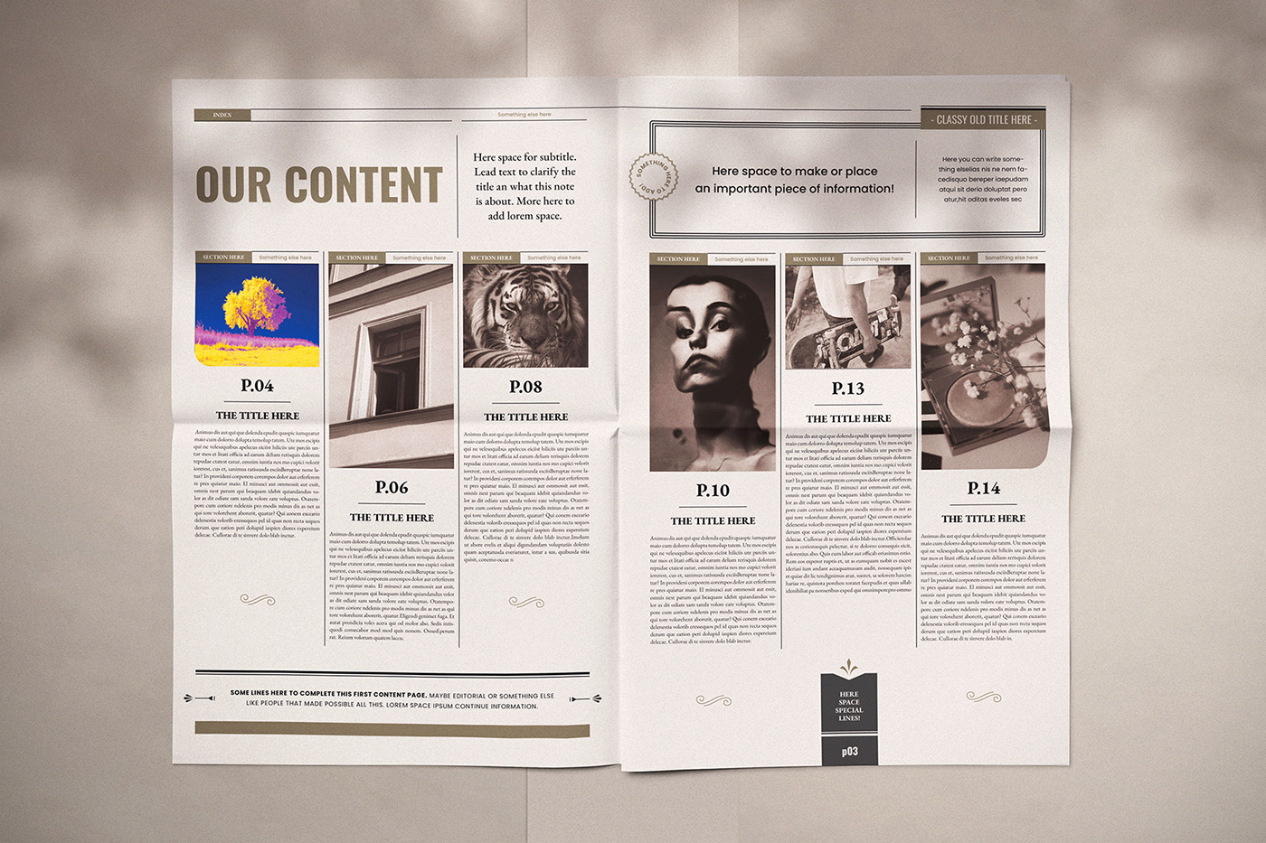 newspaper template design professional editorial grid system modern classy Style
