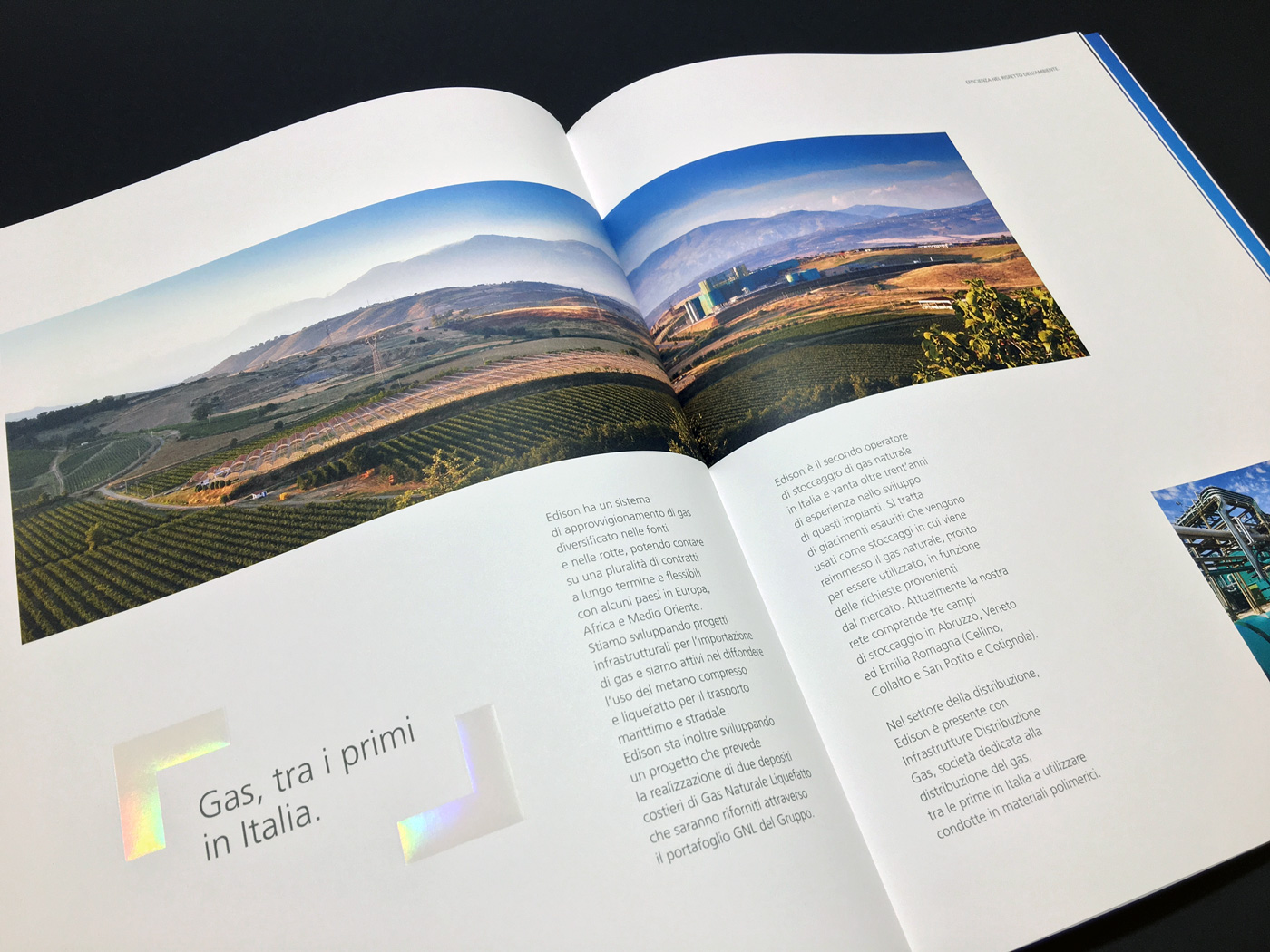 Monograph book print print design  graphic graphic design  editorial book design monograph design